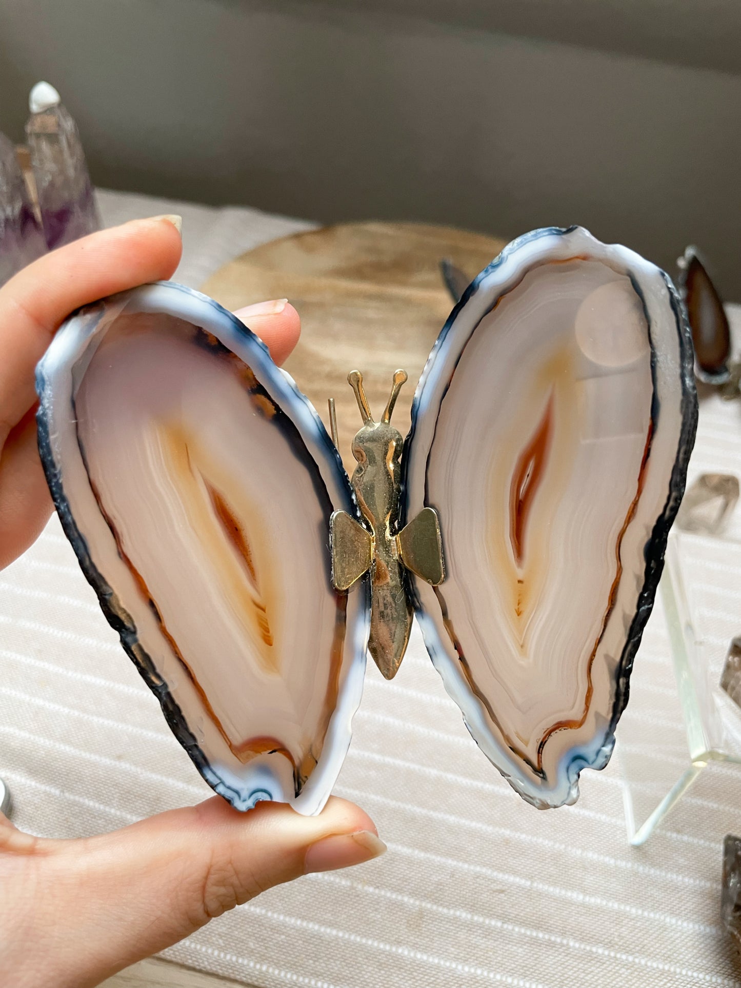 Achat Schmetterling Nr. 4