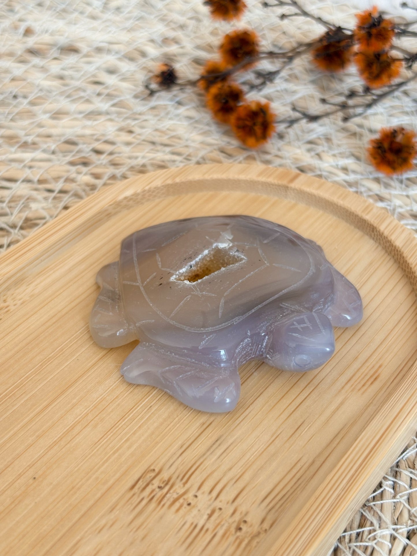 Druzy Achat Schildkröte mit Dendriten, Nr. 5