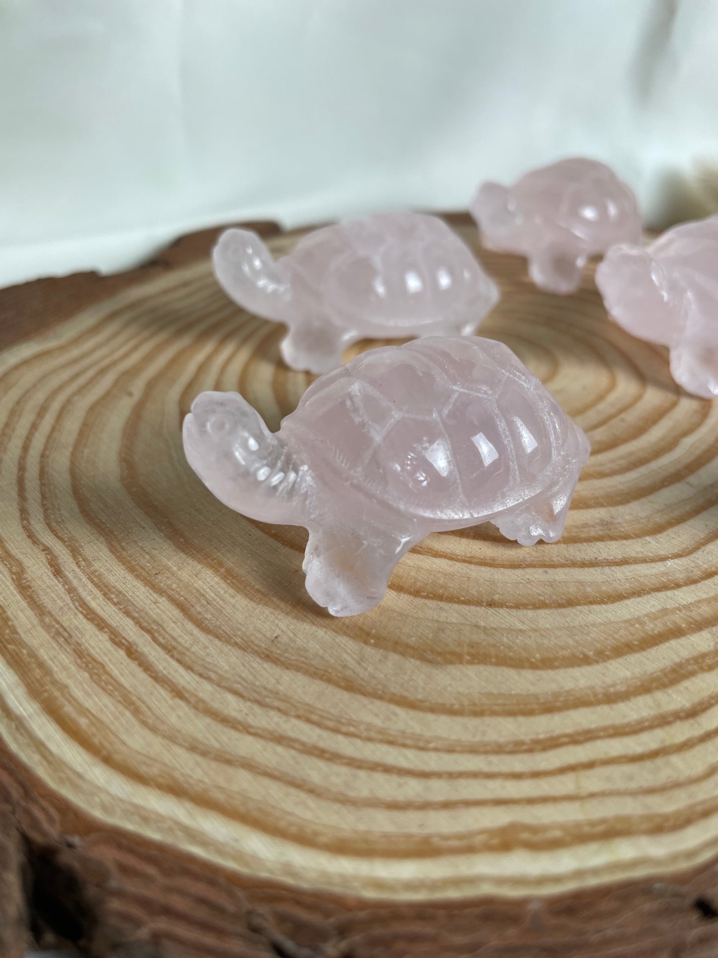 Rosenquarz Schildkröte