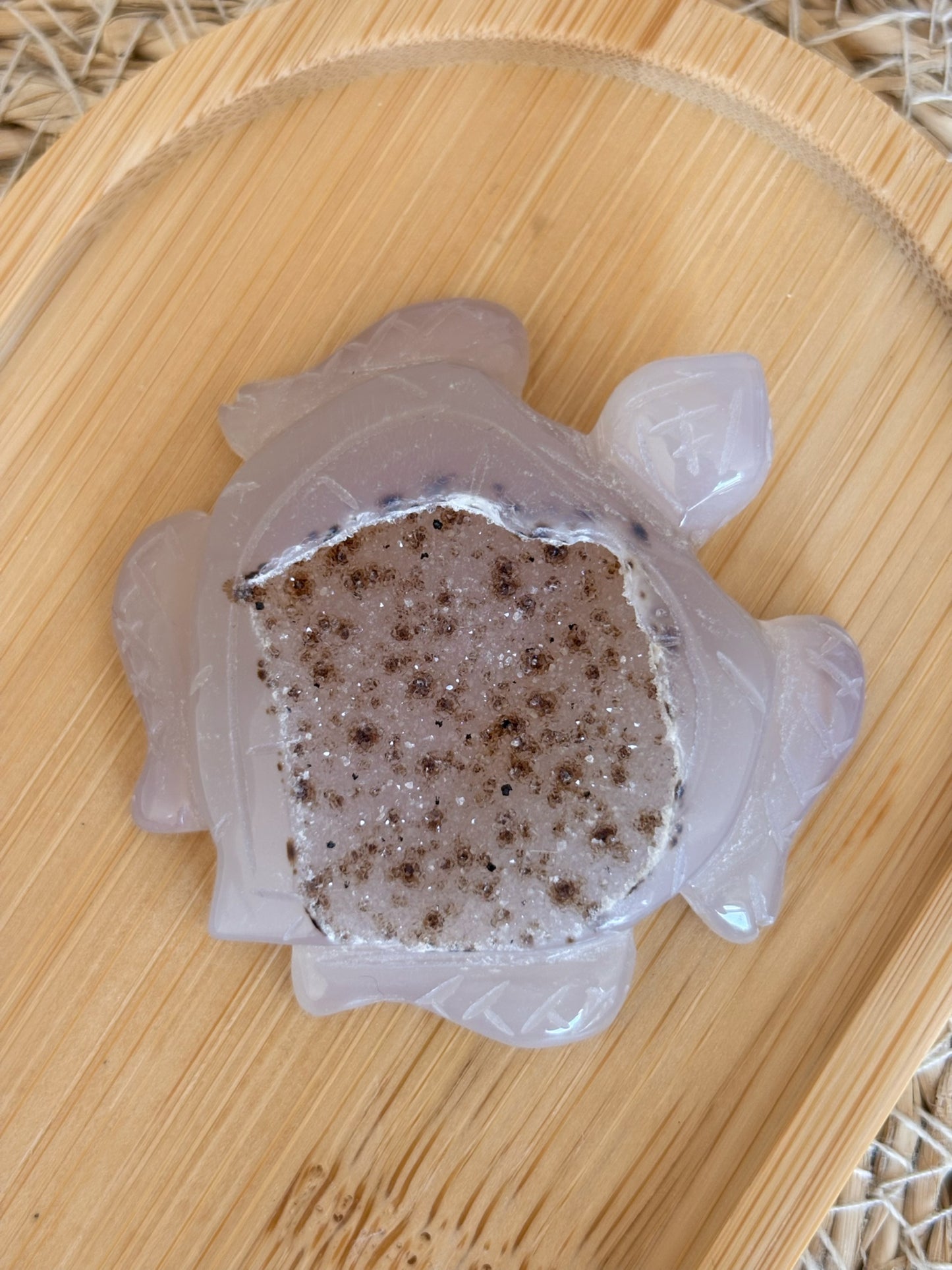 Druzy Achat Schildkröte mit Dendriten, Nr. 1