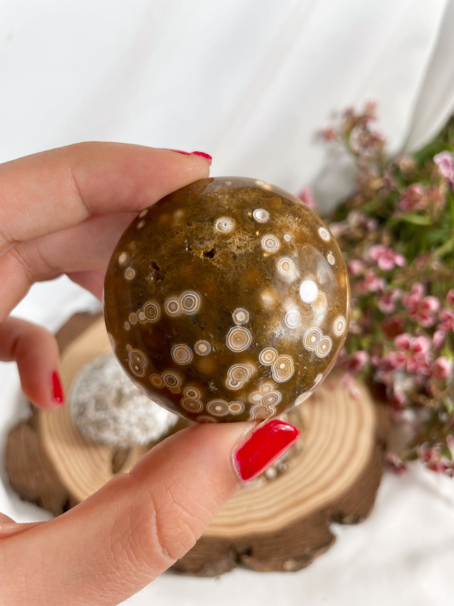 Ozean Jaspis Linsensteine