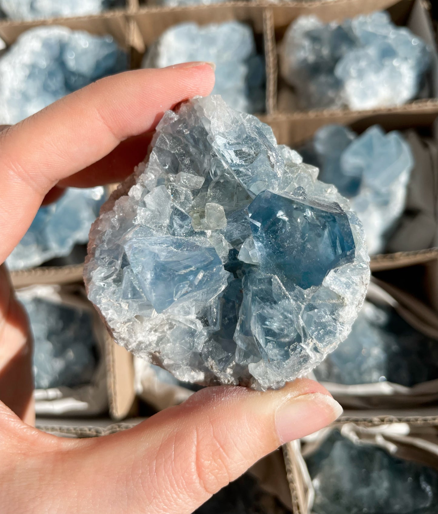 Coelestin Stufen aus Madagaskar, A-Qualität - auswählbar