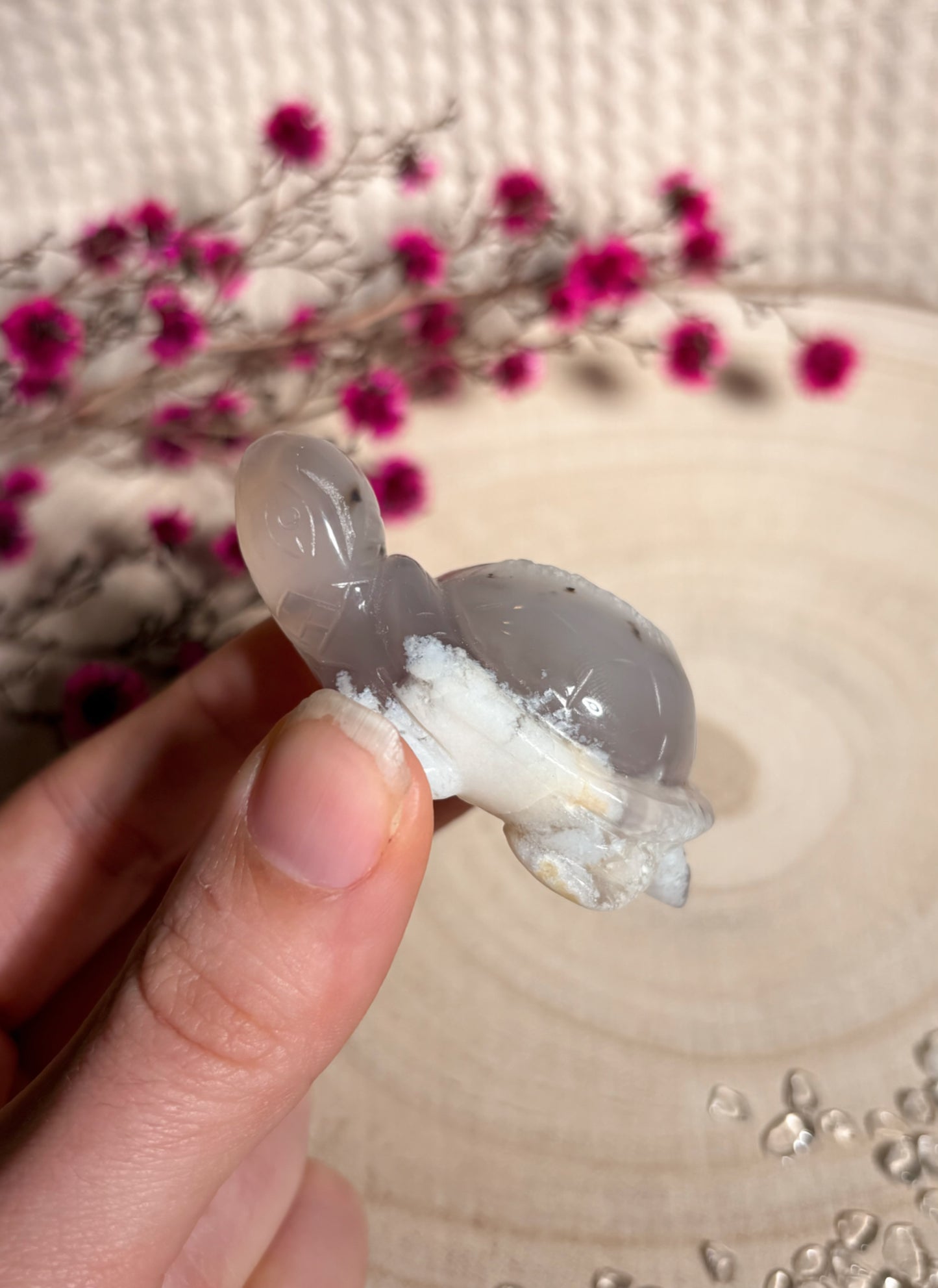 Druzy Achat Schildkröte mit Dendritenachat 🐢