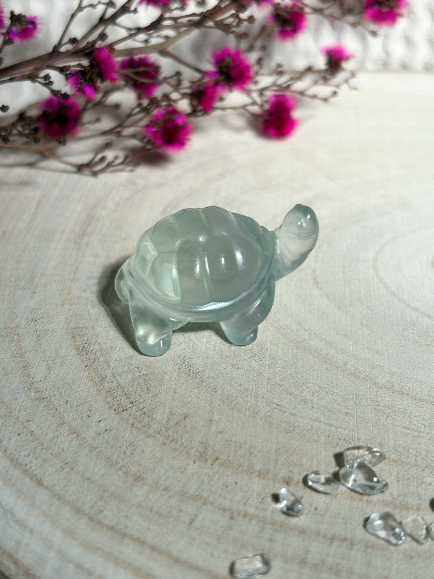 Fluorit Schildkröte, blaugrün 🐢