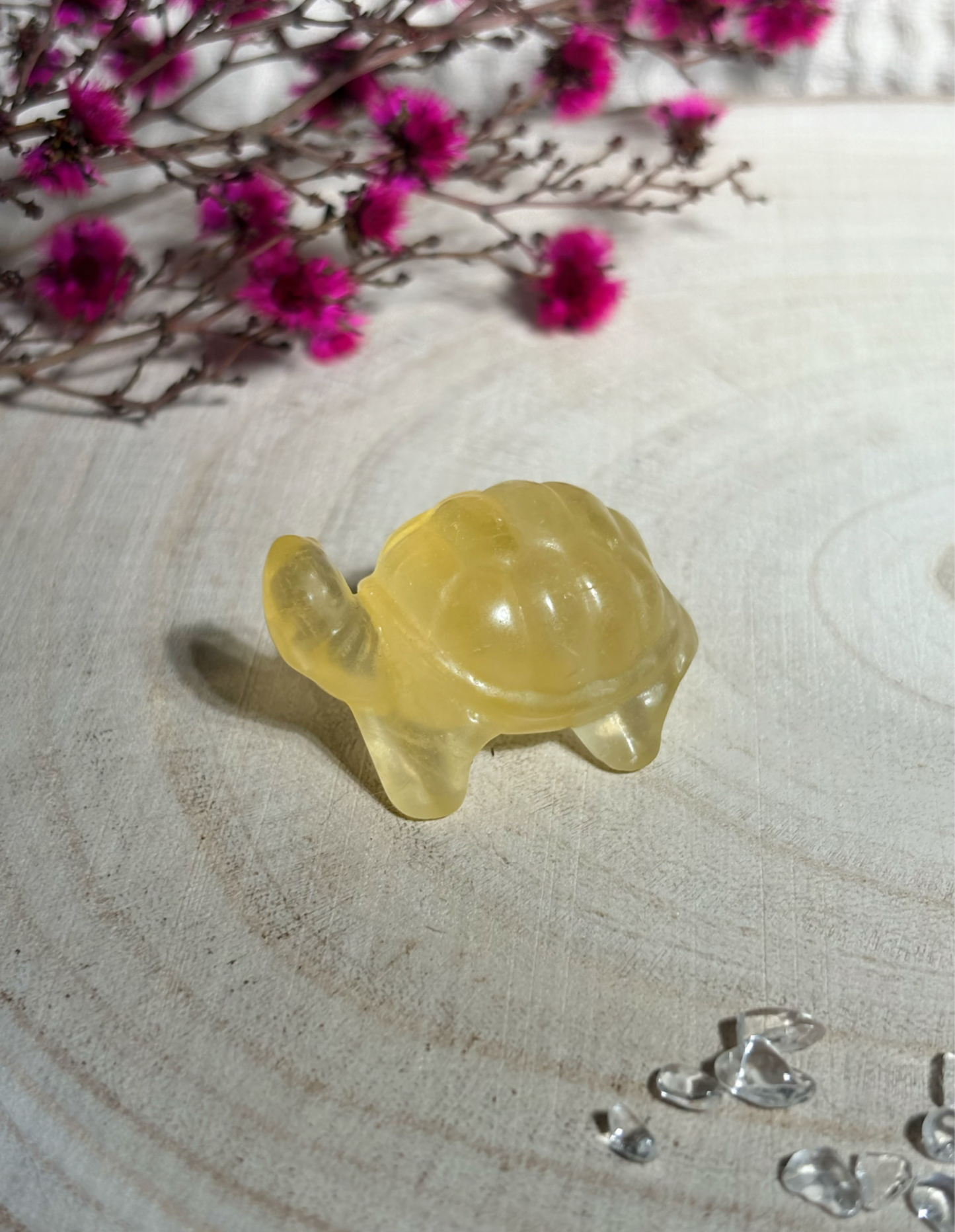 Fluorit Schildkröte, gelb 🐢