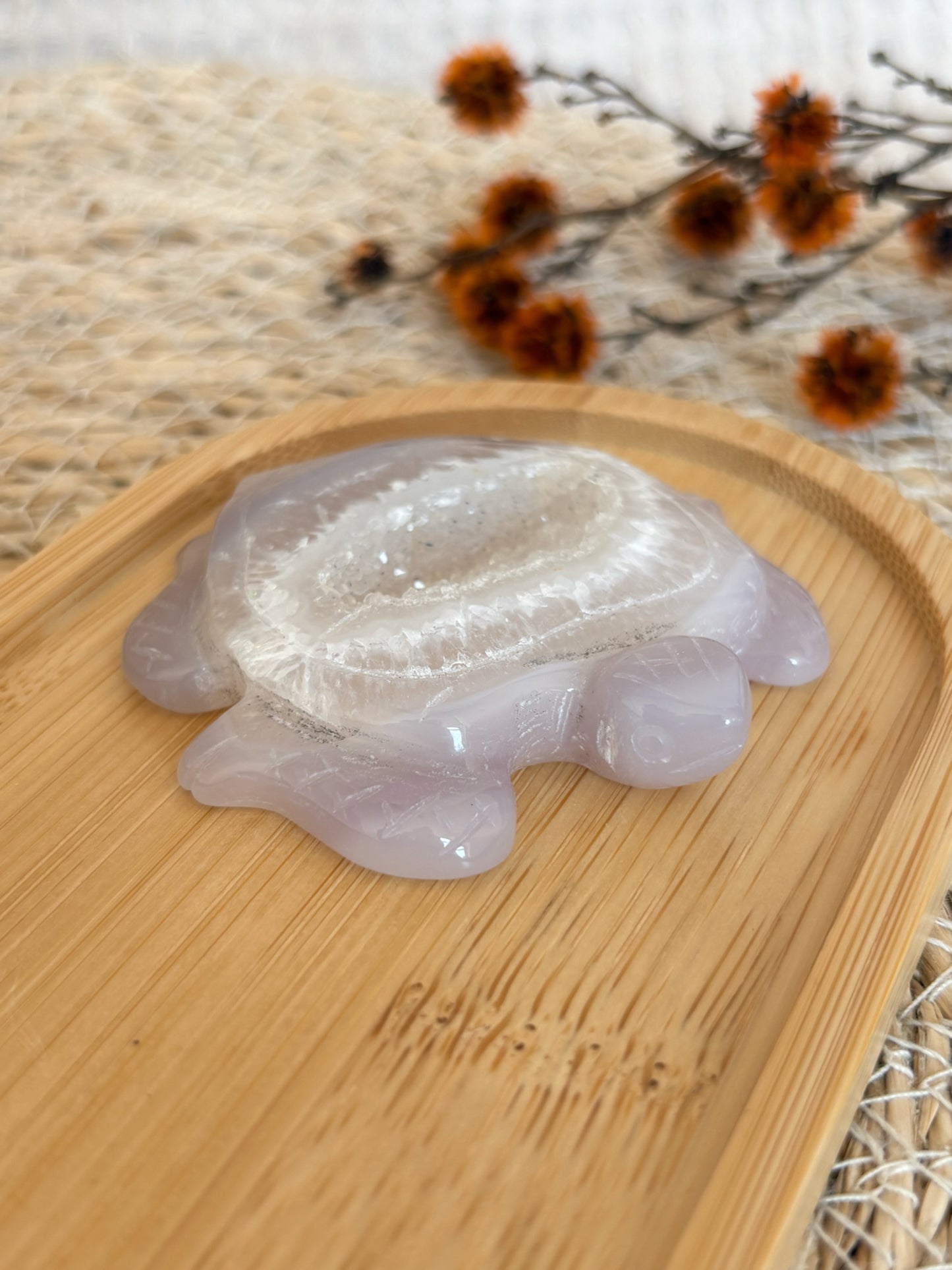 Druzy Achat Schildkröte, Nr. 3