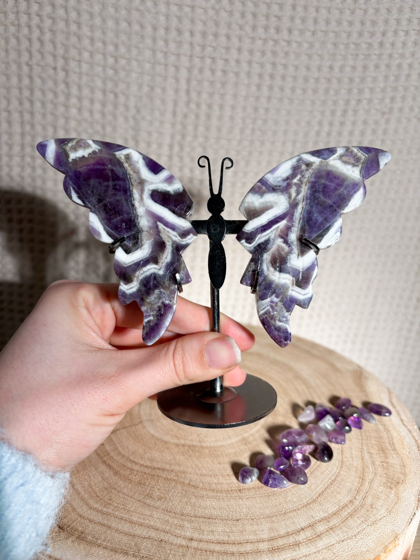 Chevron Amethyst Schmetterling C22 🦋