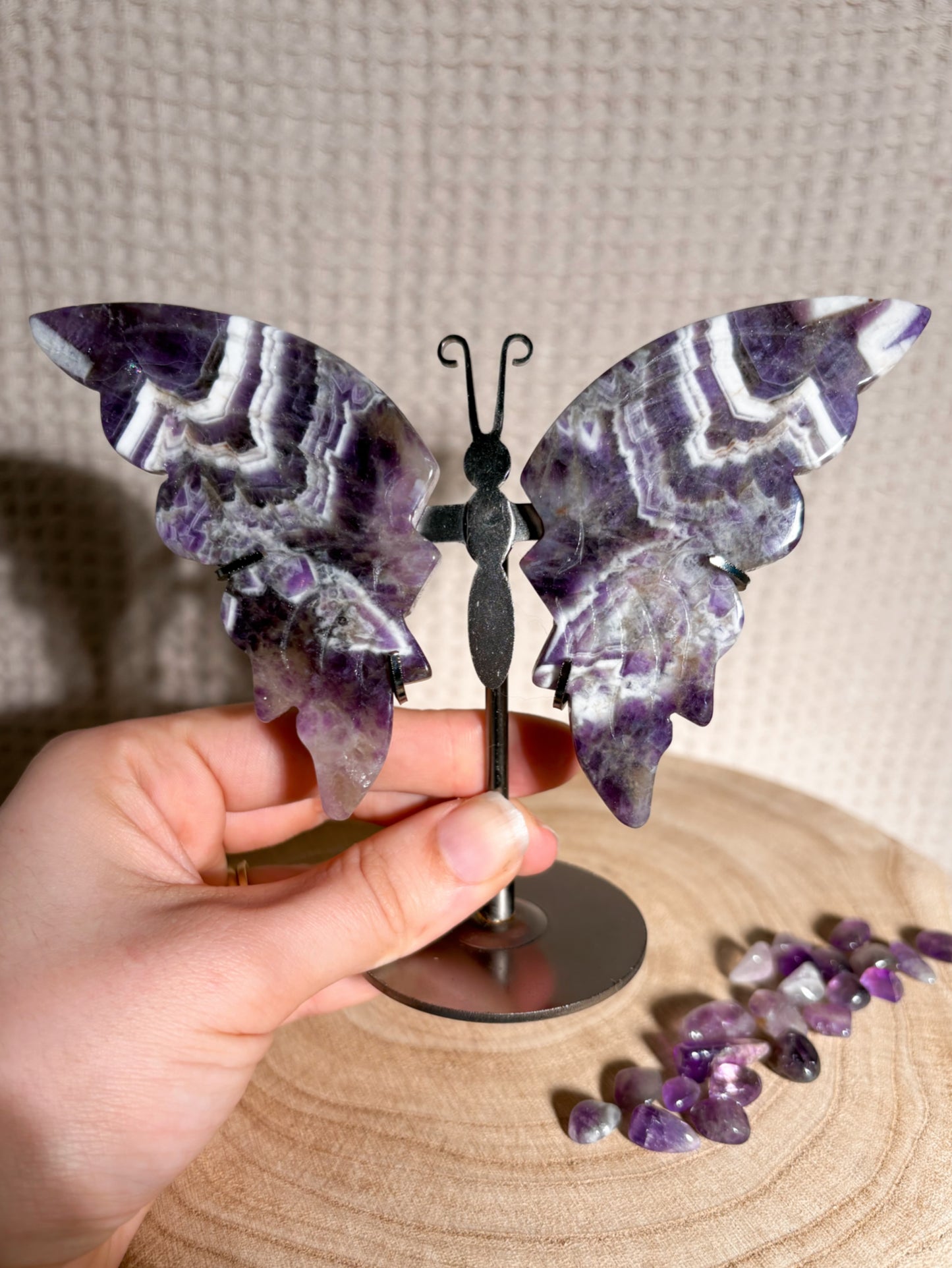 Chevron Amethyst Schmetterling A22 🦋