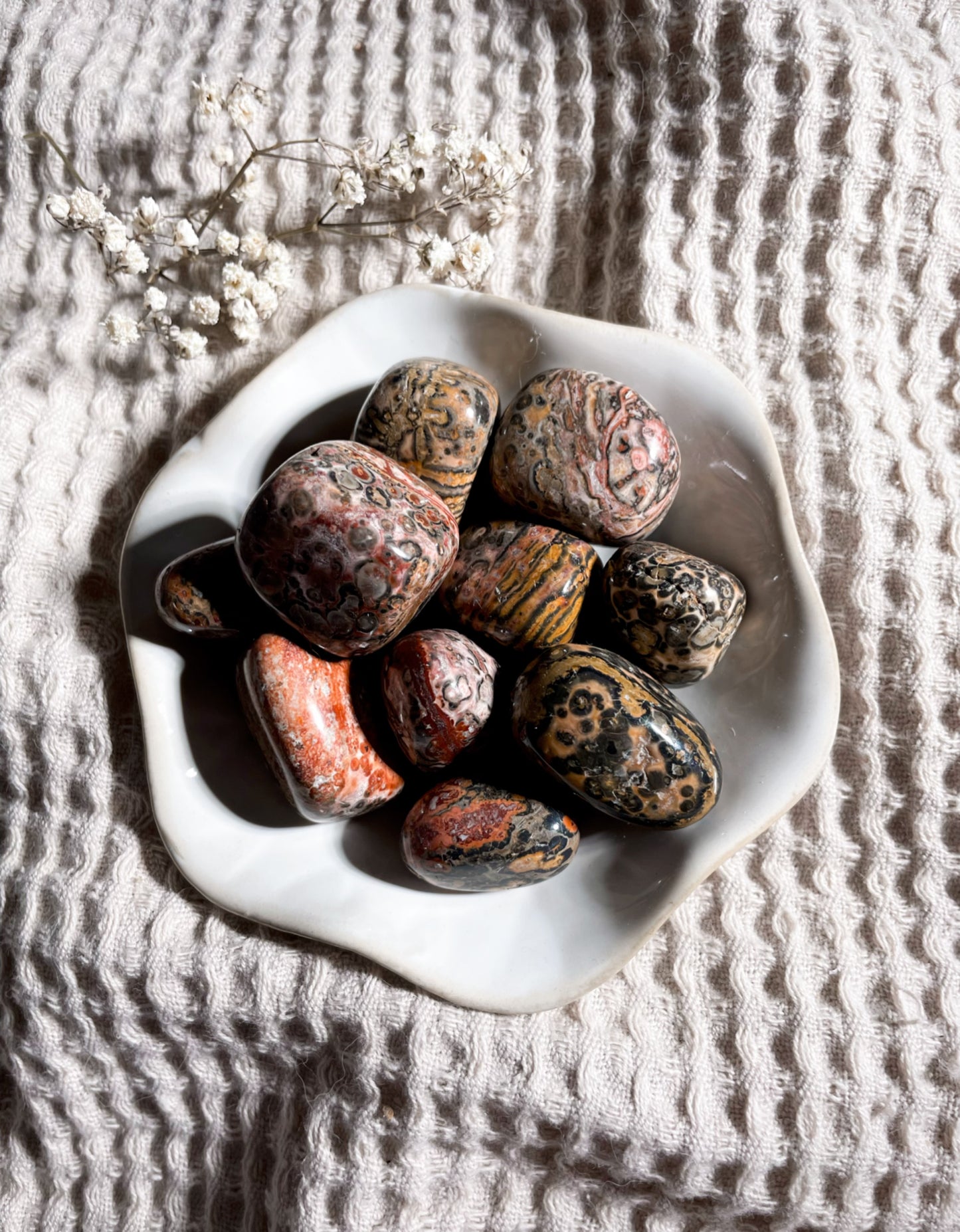 Leopardenjaspis Trommelstein