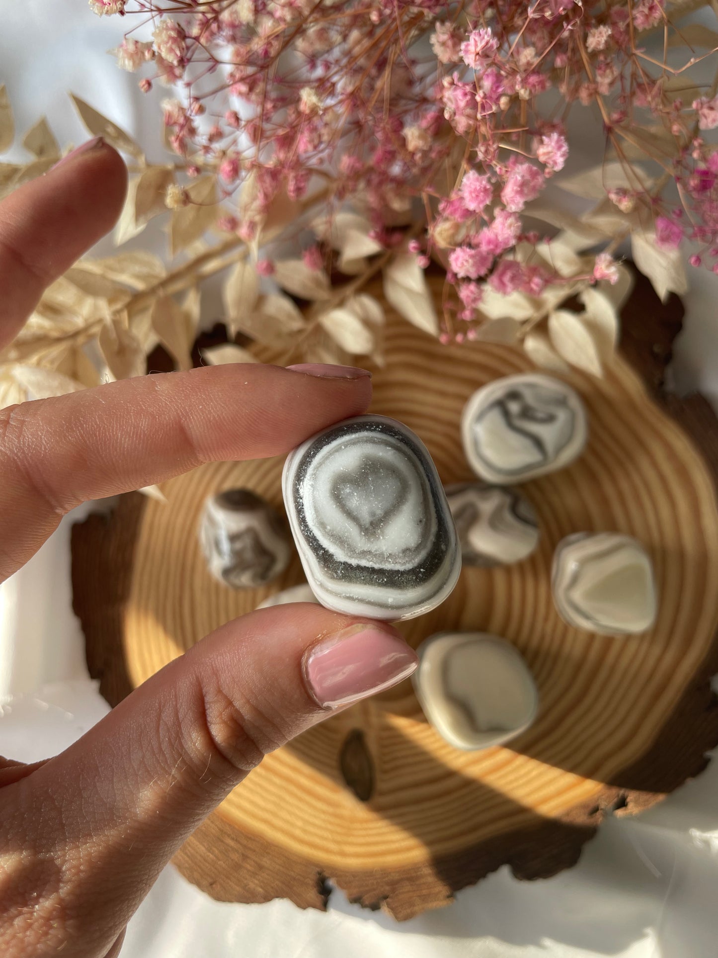 Zebra Onyx Trommelstein