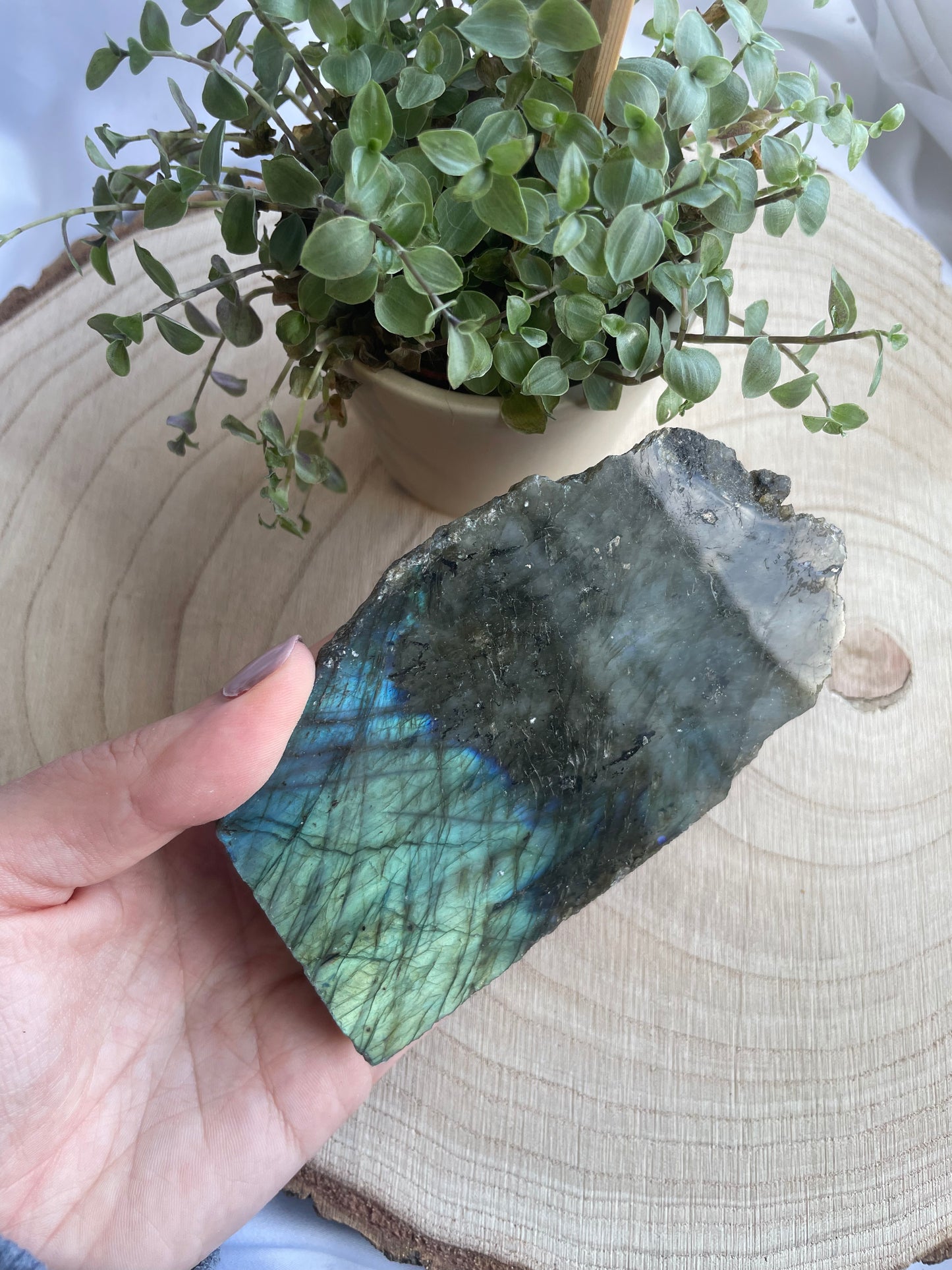 Labradorit halbpolierter Anschliff, mittel, Nr. 3