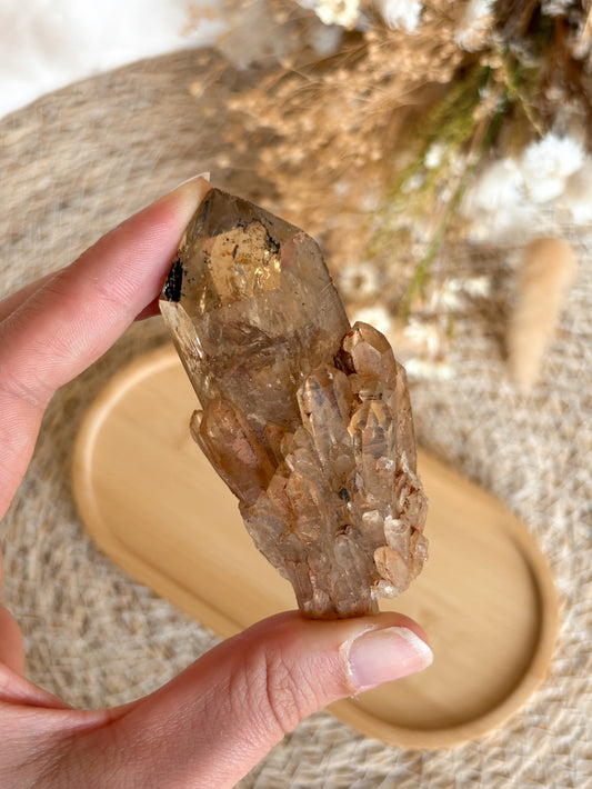 Kundalini Citrin Cluster Nr. 2