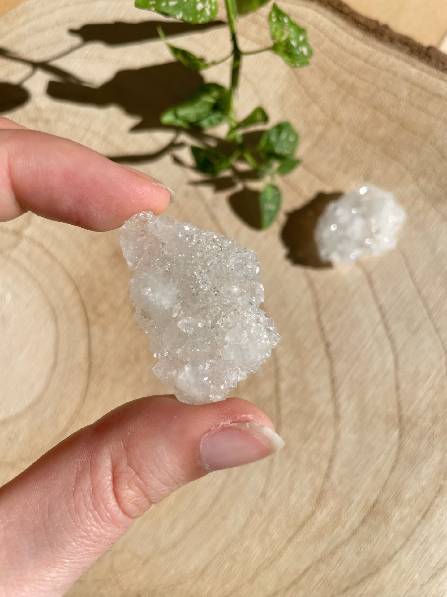 Apophyllit aus Indien - verschiedene Größen