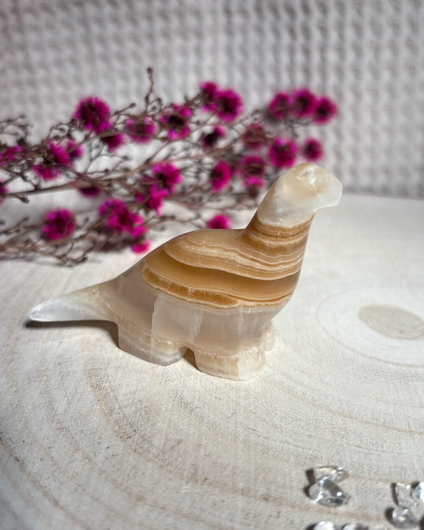 Onyx Marmor Dino 🦕