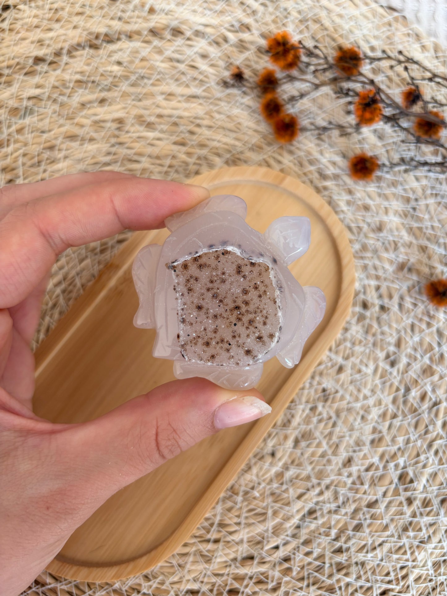 Druzy Achat Schildkröte mit Dendriten, Nr. 1