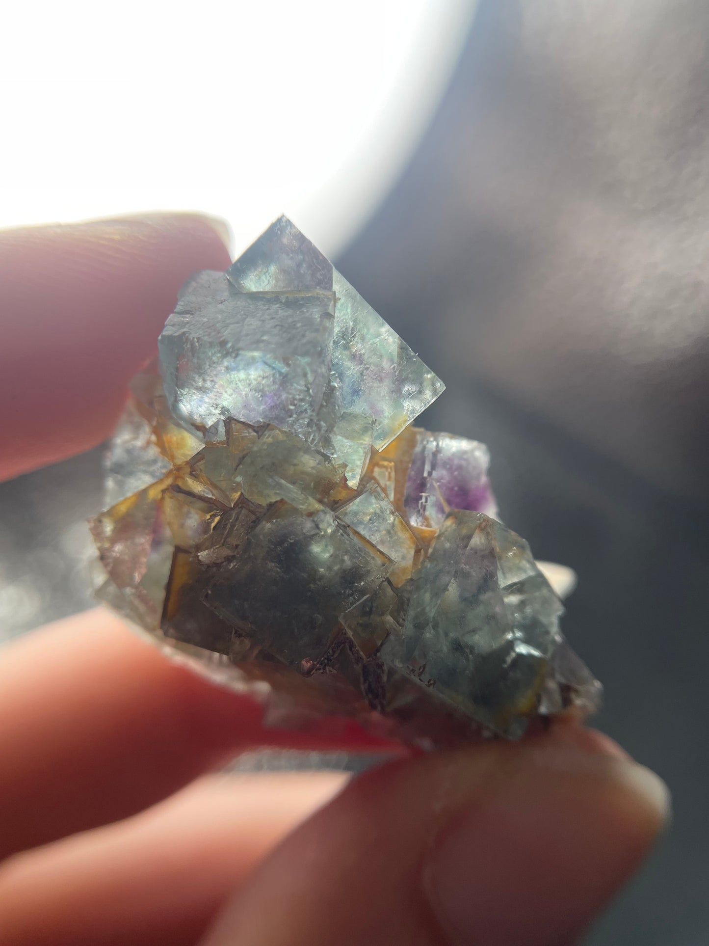 Okorusu Fluorit Cluster Nr. 1