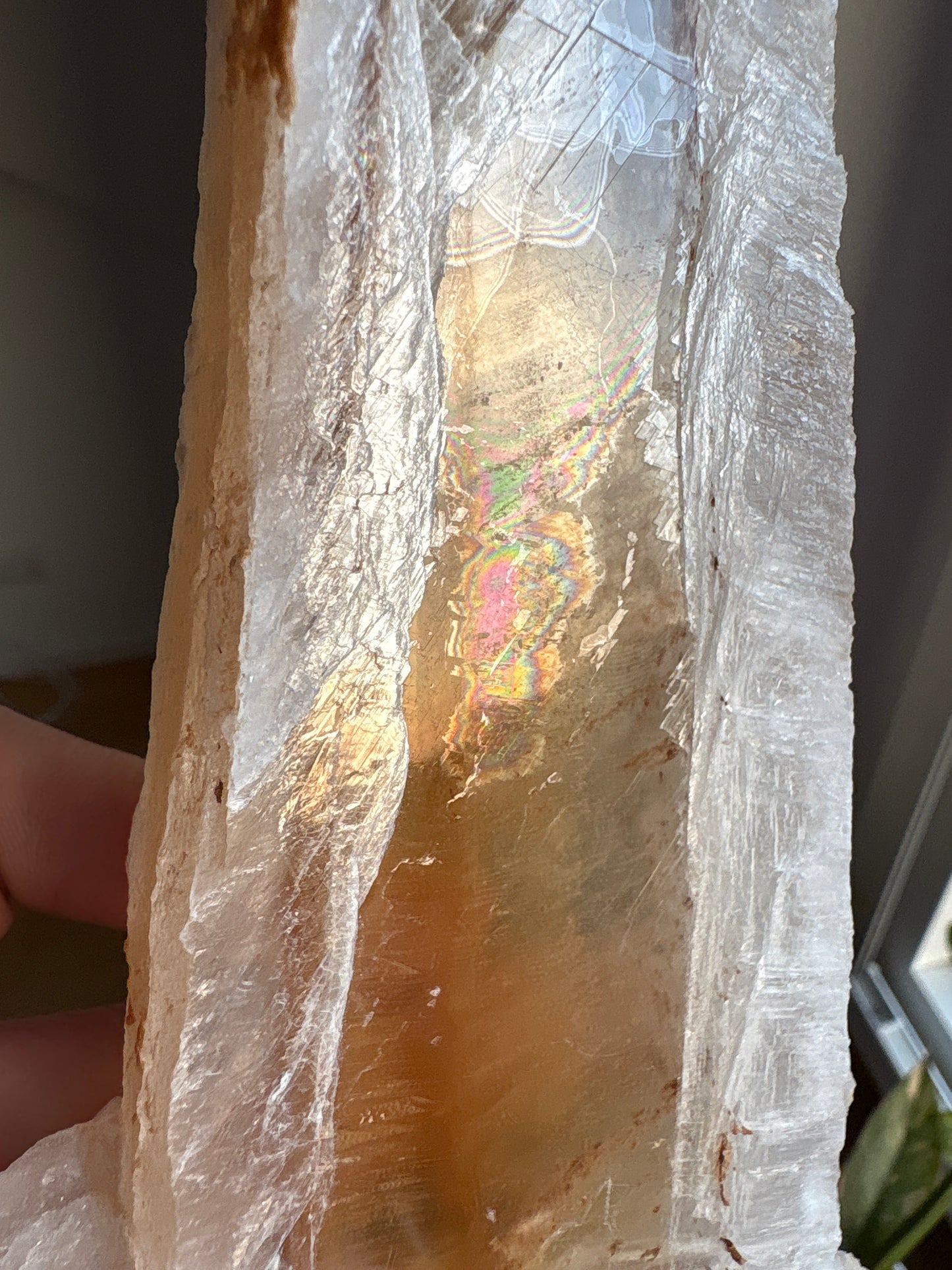 XL Bicolor Selenit aus Spanien auf Podest