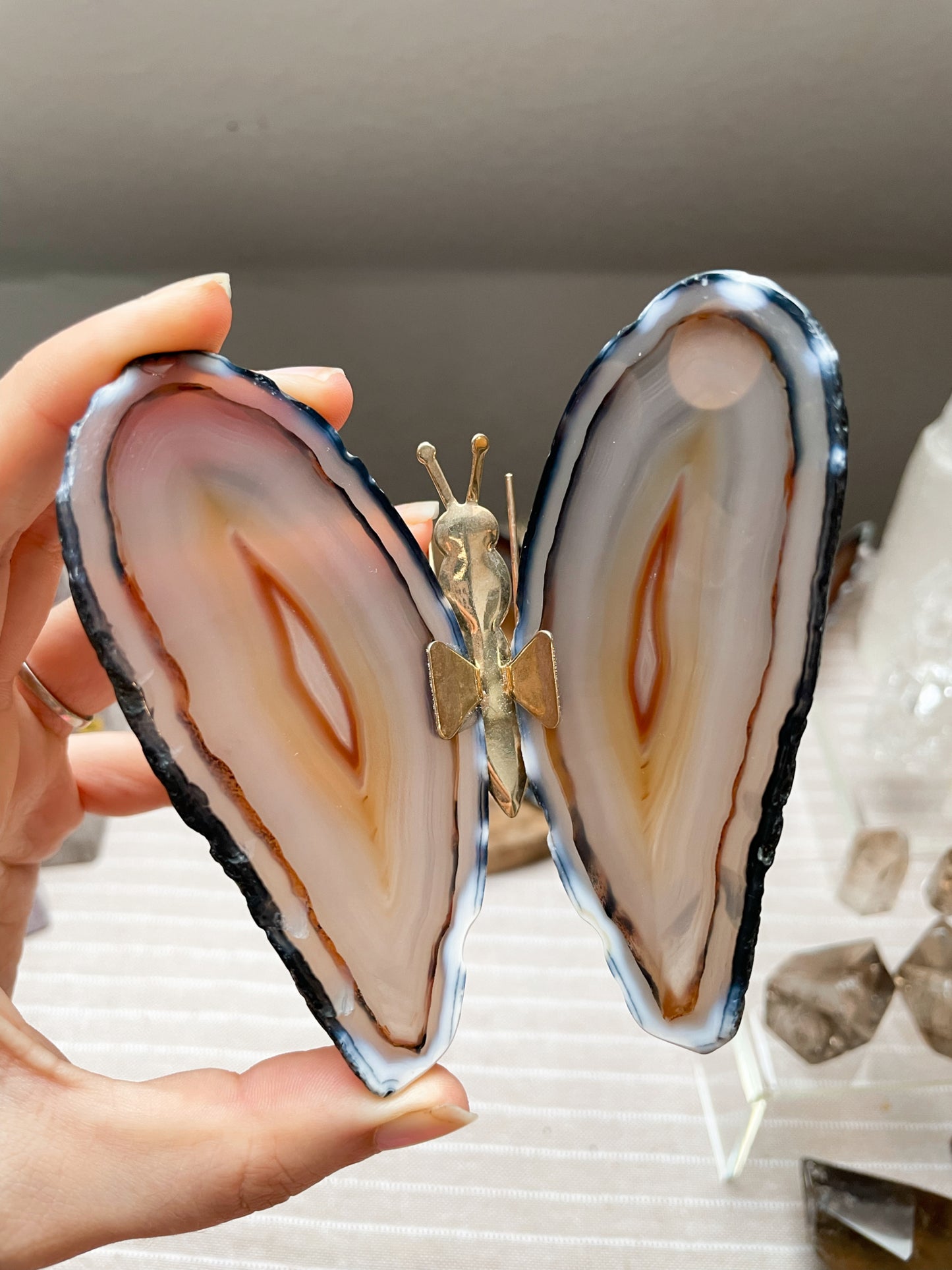 Achat Schmetterling Nr. 1