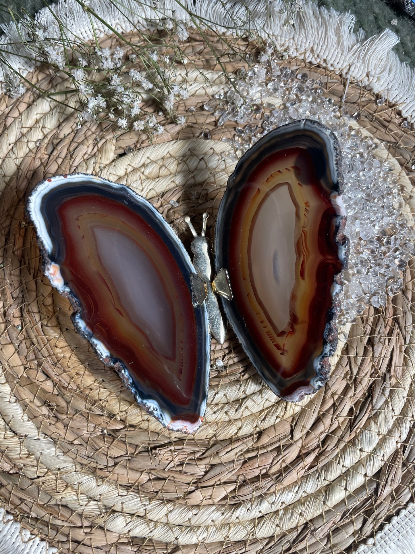 Achat Schmetterling Nr. 7