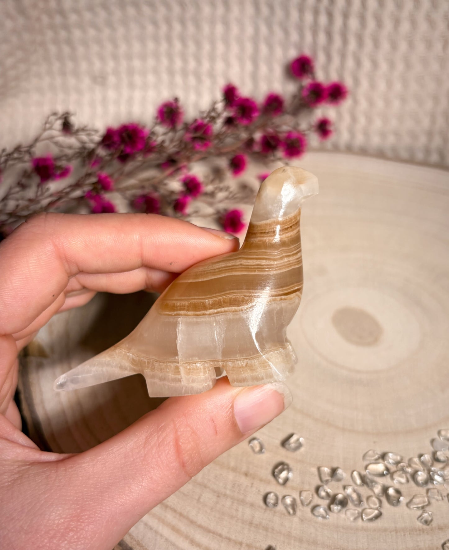 Onyx Marmor Dino 🦕