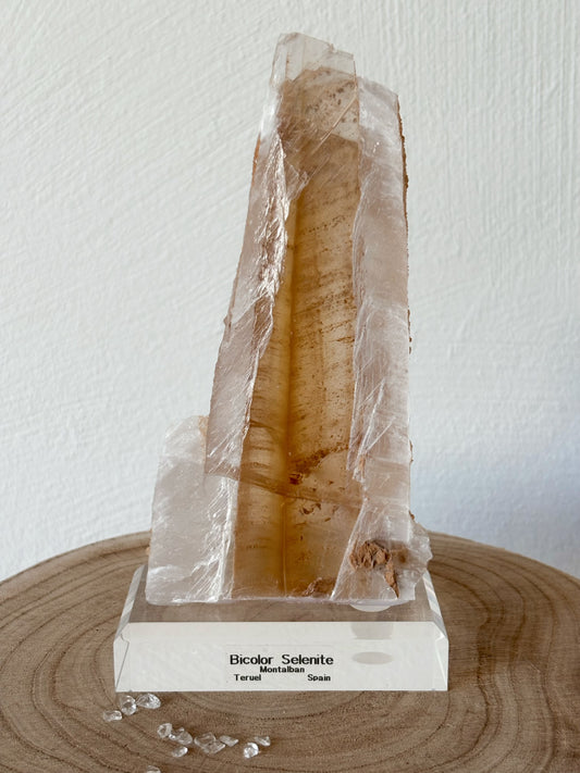 XL Bicolor Selenit aus Spanien auf Podest