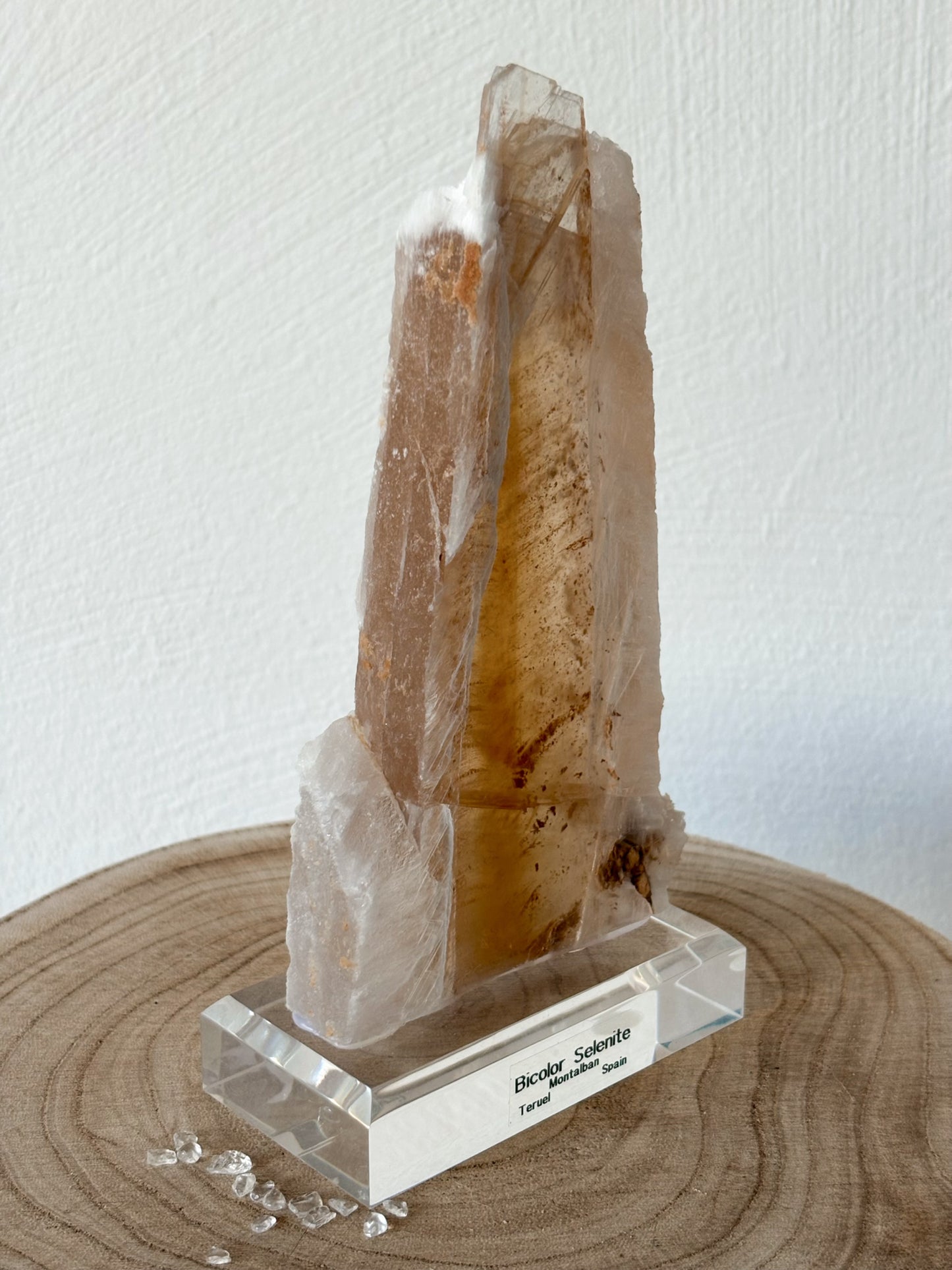 XL Bicolor Selenit aus Spanien auf Podest