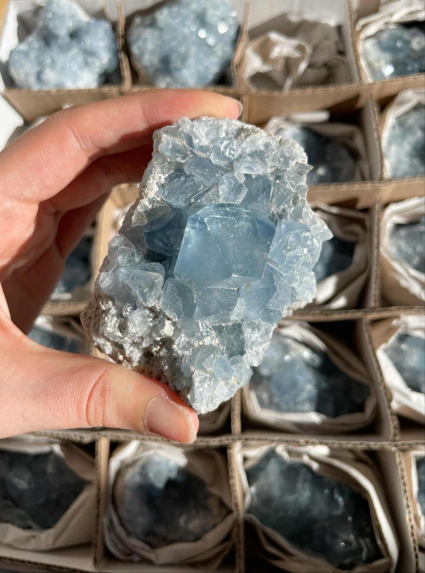 Coelestin Stufen aus Madagaskar, A-Qualität - auswählbar