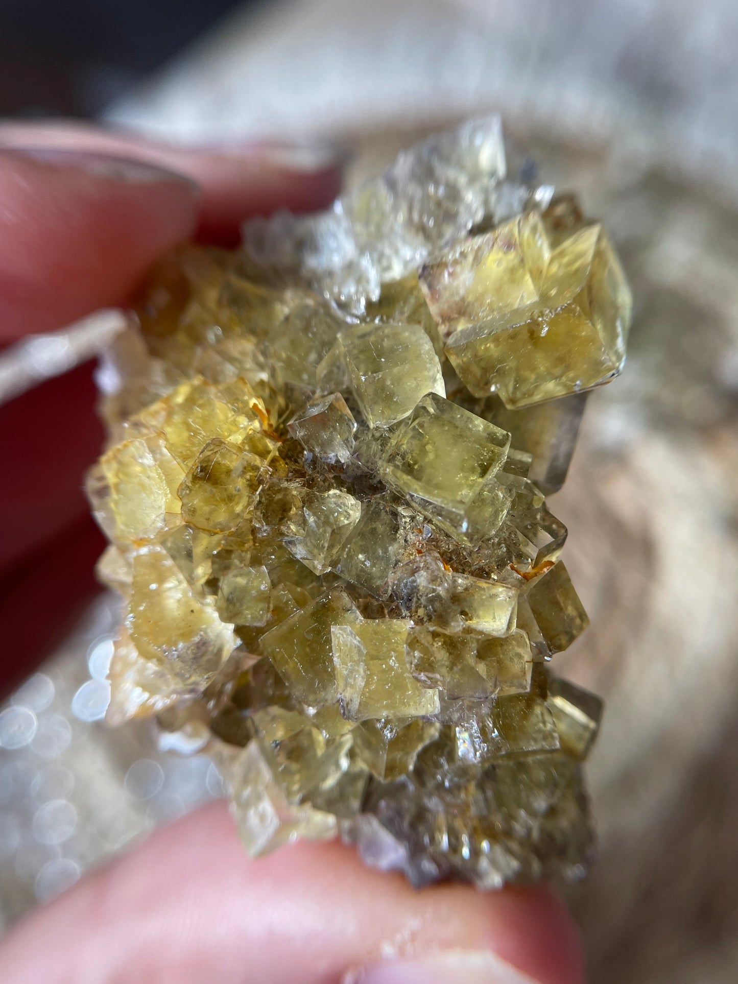 Okorusu Fluorit Cluster Nr. 2