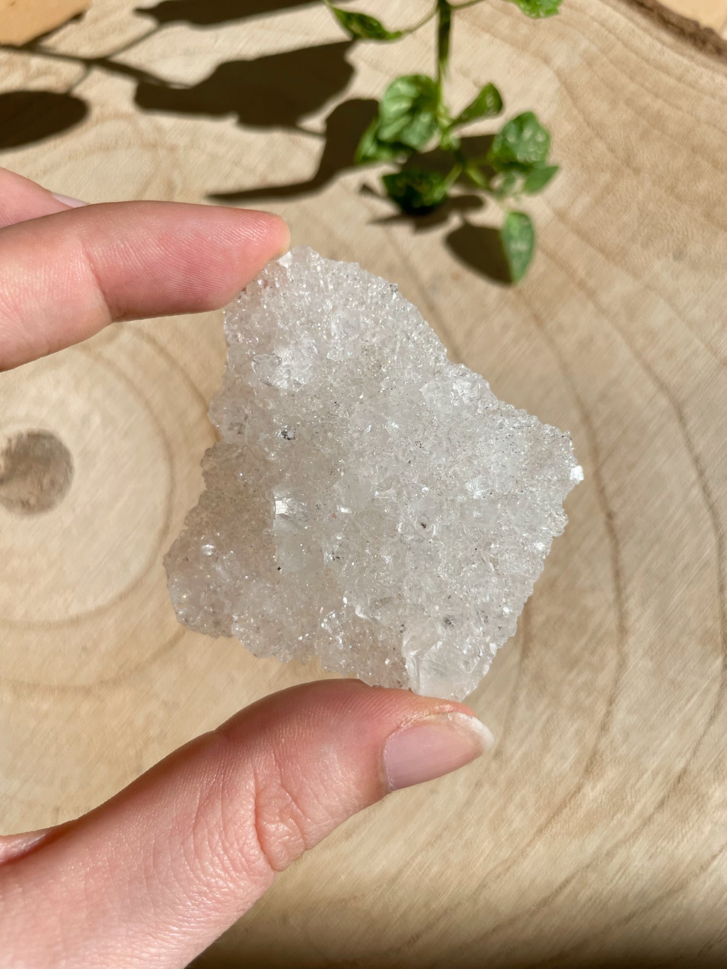 Apophyllit aus Indien - verschiedene Größen