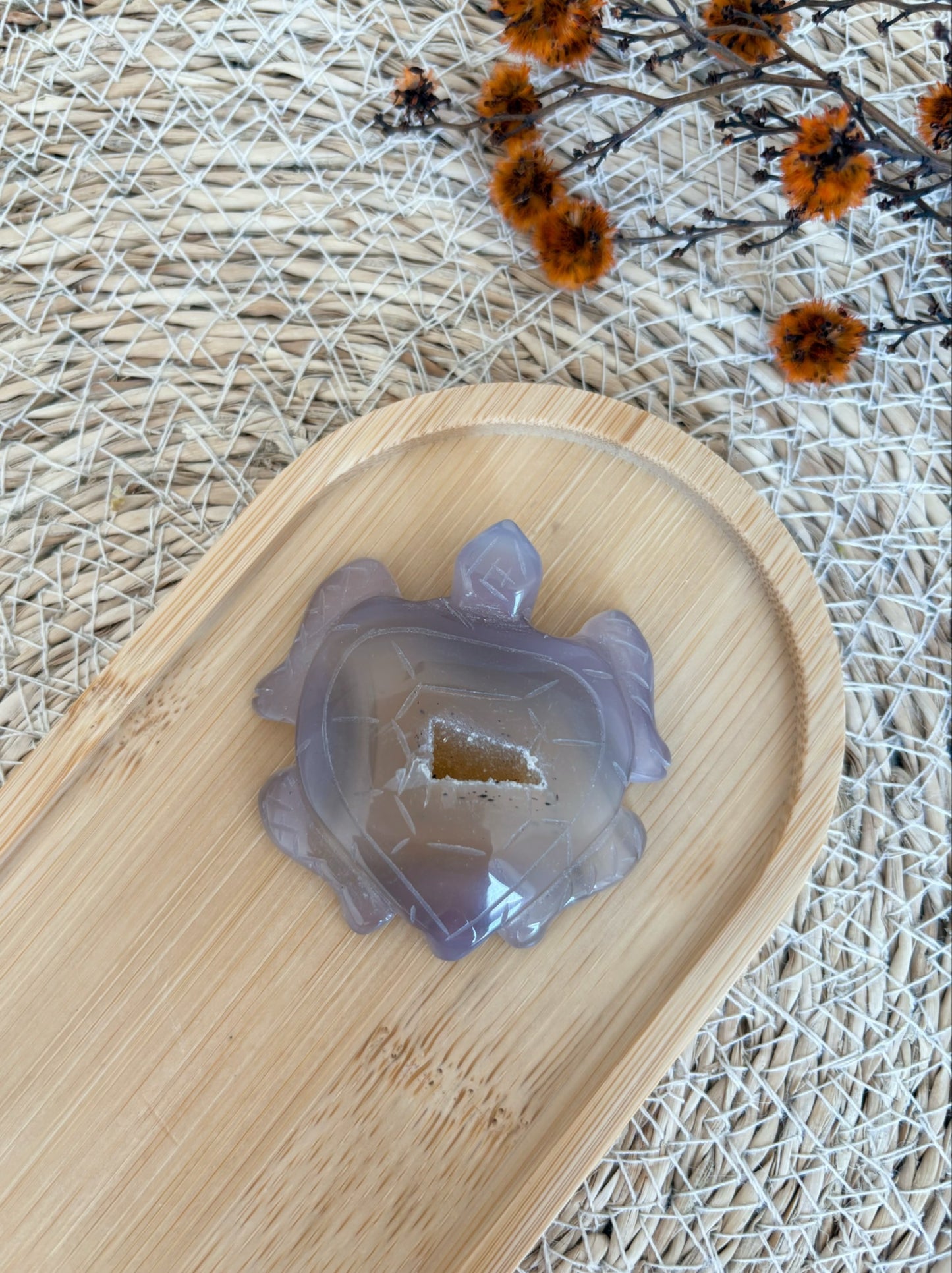 Druzy Achat Schildkröte mit Dendriten, Nr. 5