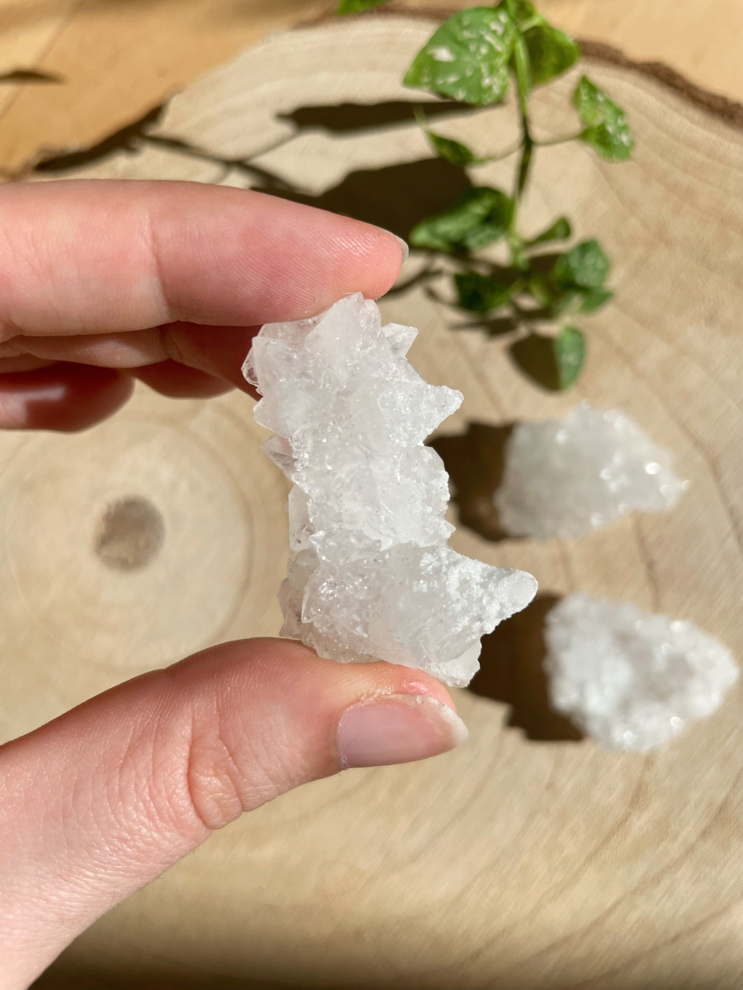 Apophyllit aus Indien - verschiedene Größen