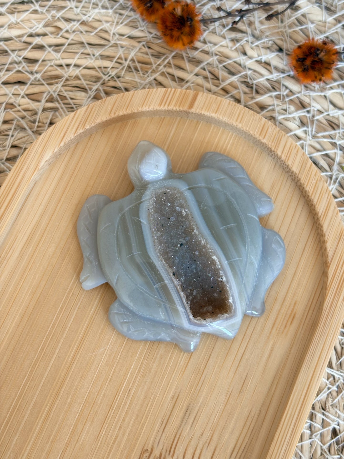 Druzy Achat Schildkröte, Nr. 2