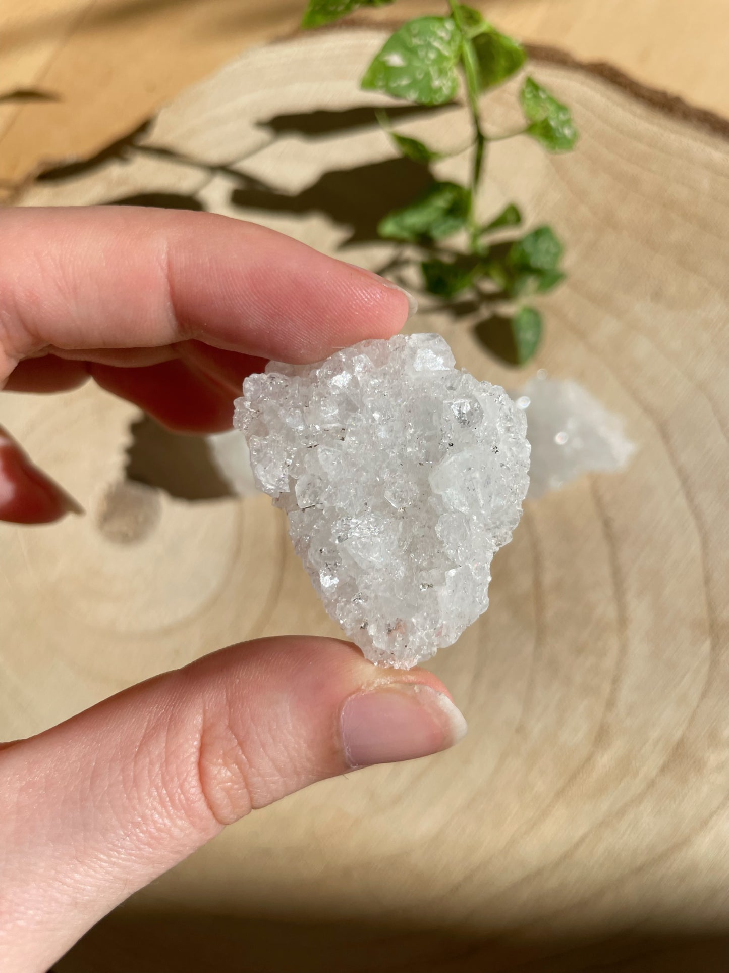 Apophyllit aus Indien - verschiedene Größen