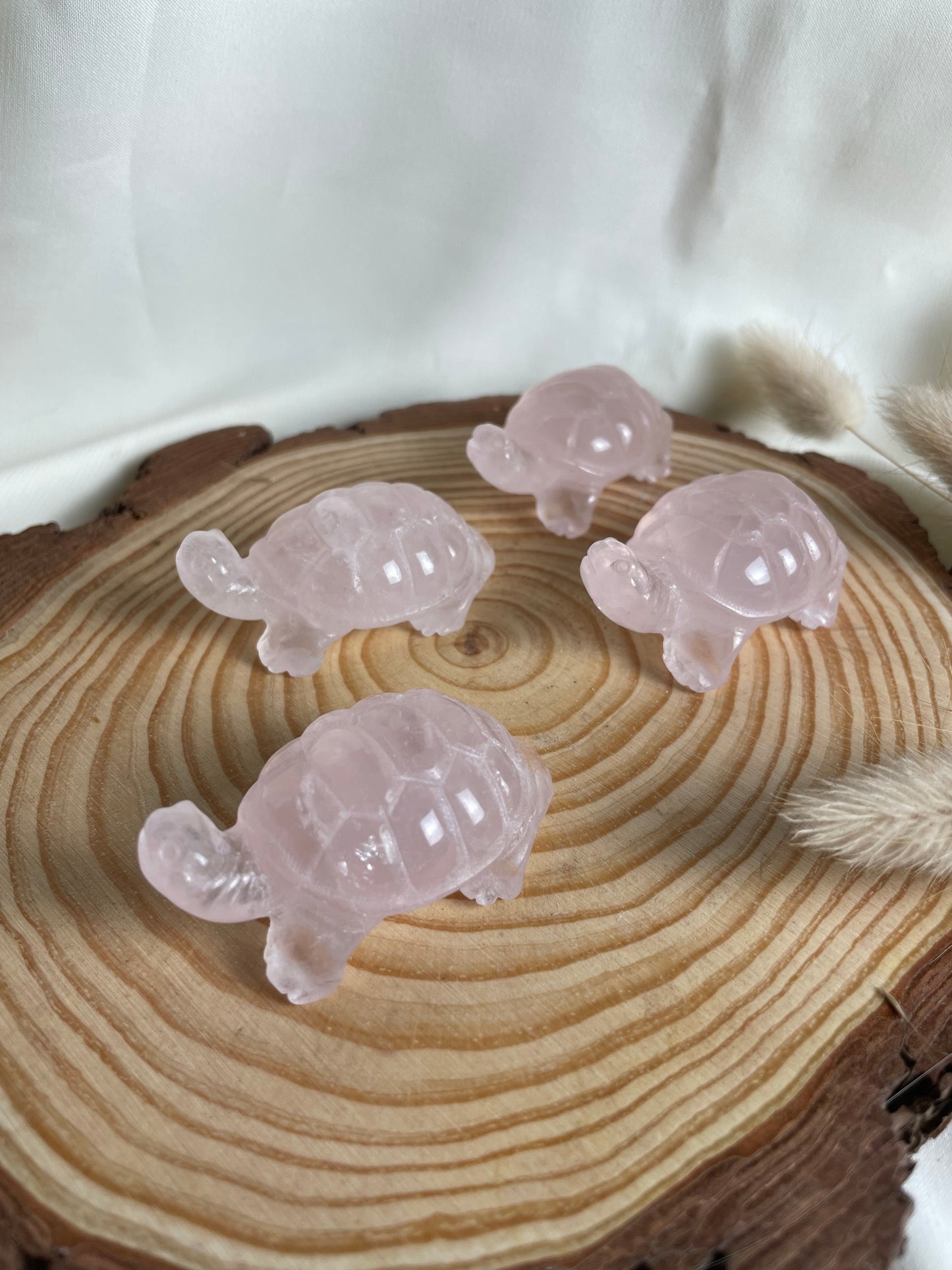 Rosenquarz Schildkröte