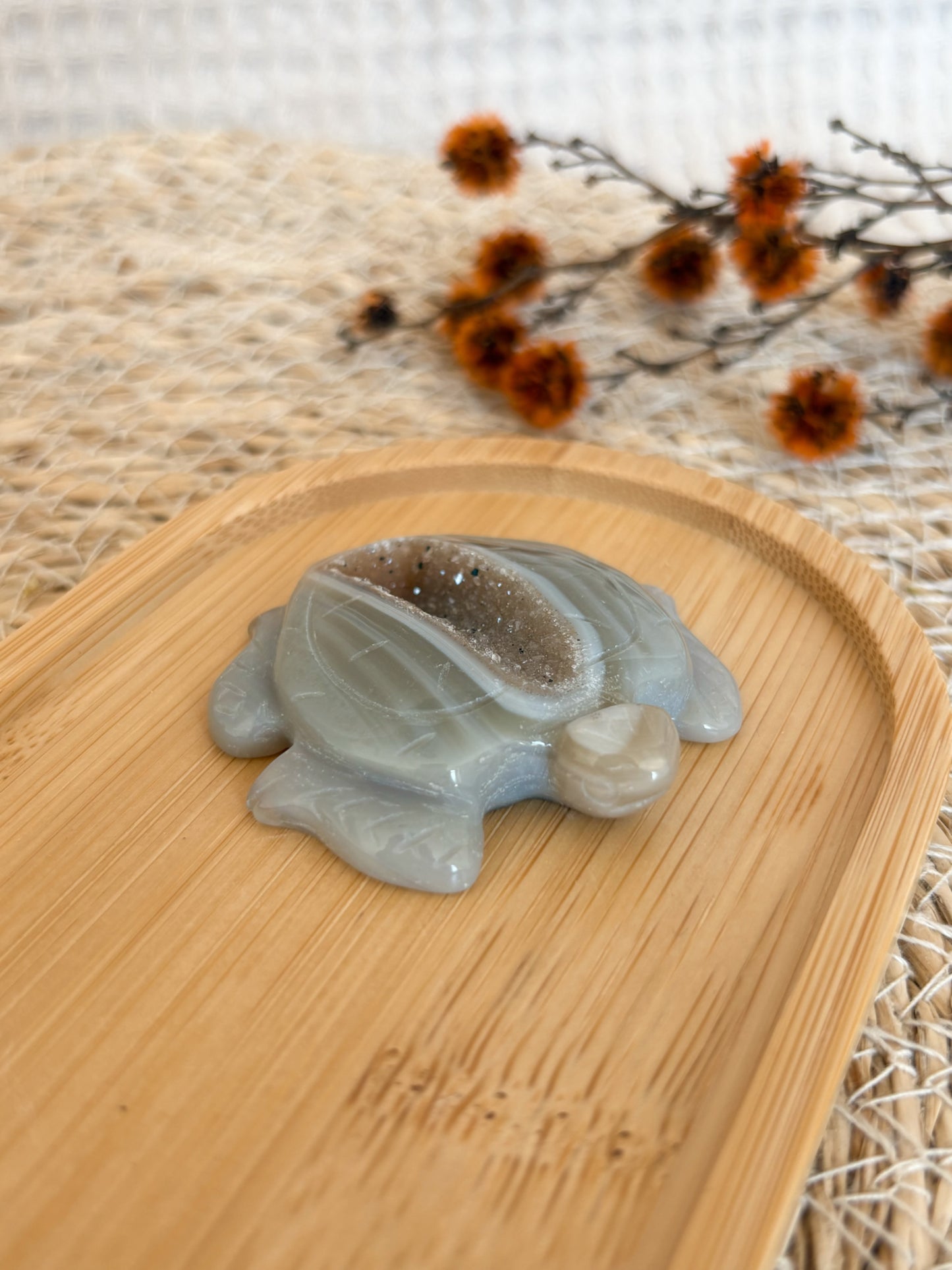 Druzy Achat Schildkröte, Nr. 2