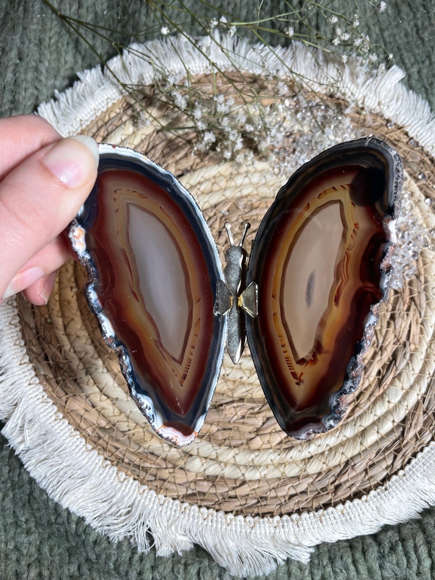 Achat Schmetterling Nr. 7