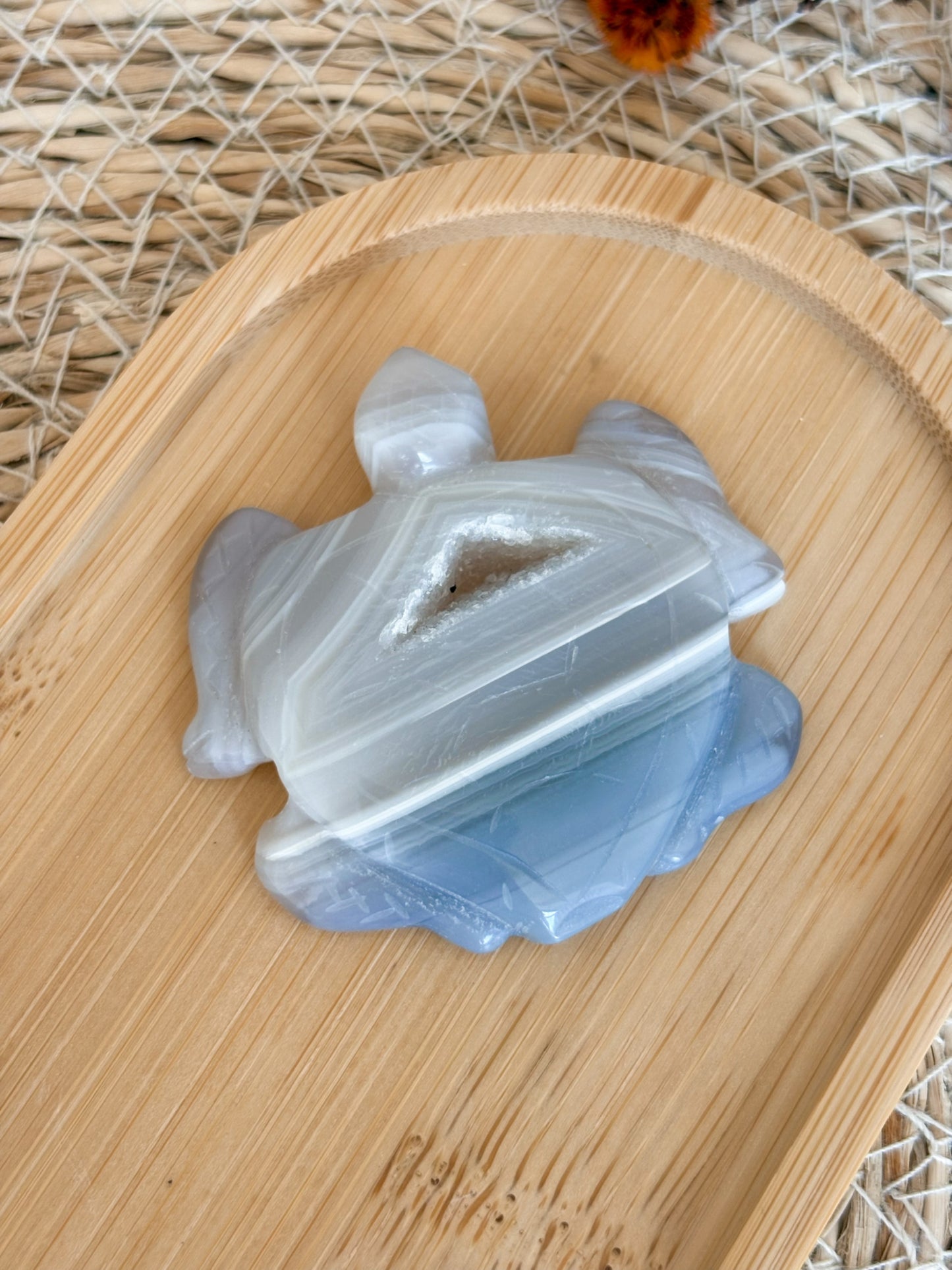 Druzy Achat Schildkröte, Nr. 6