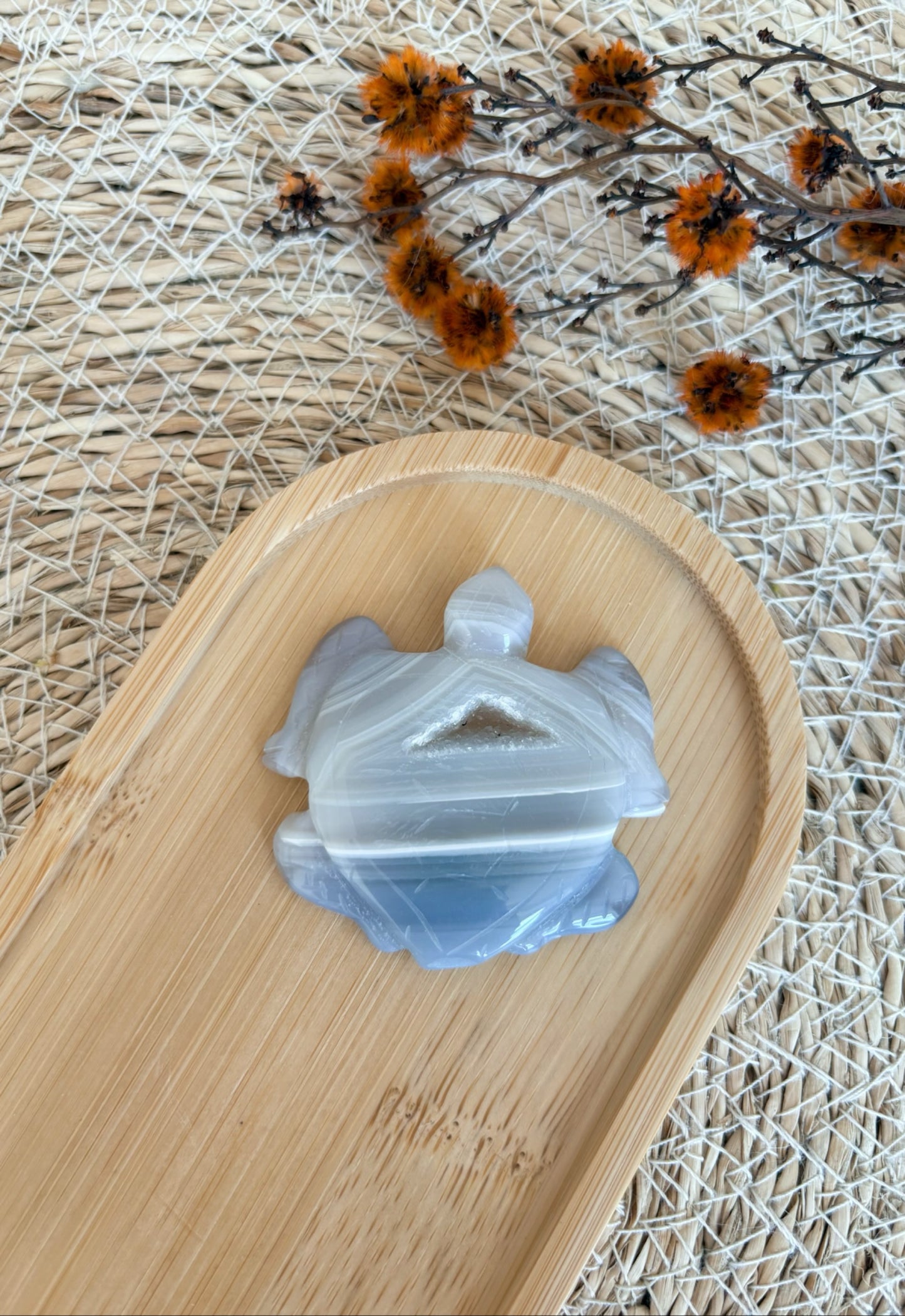 Druzy Achat Schildkröte, Nr. 6