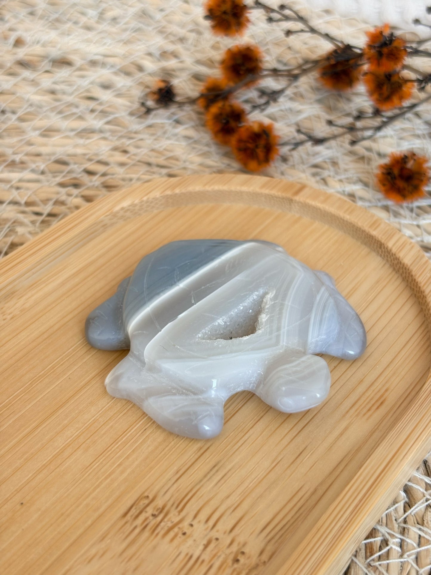 Druzy Achat Schildkröte, Nr. 6