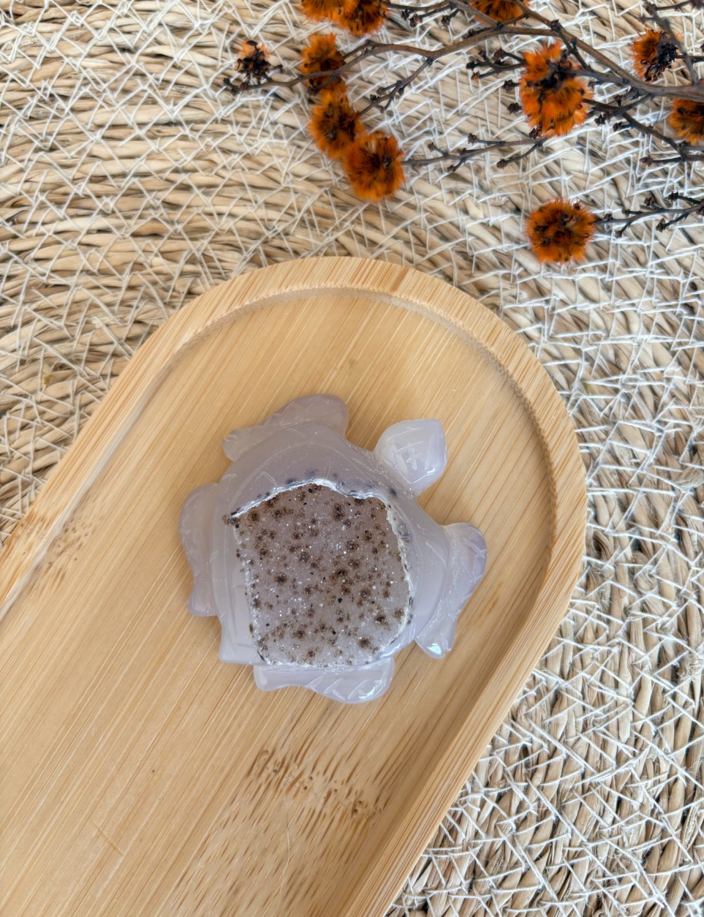 Druzy Achat Schildkröte mit Dendriten, Nr. 1