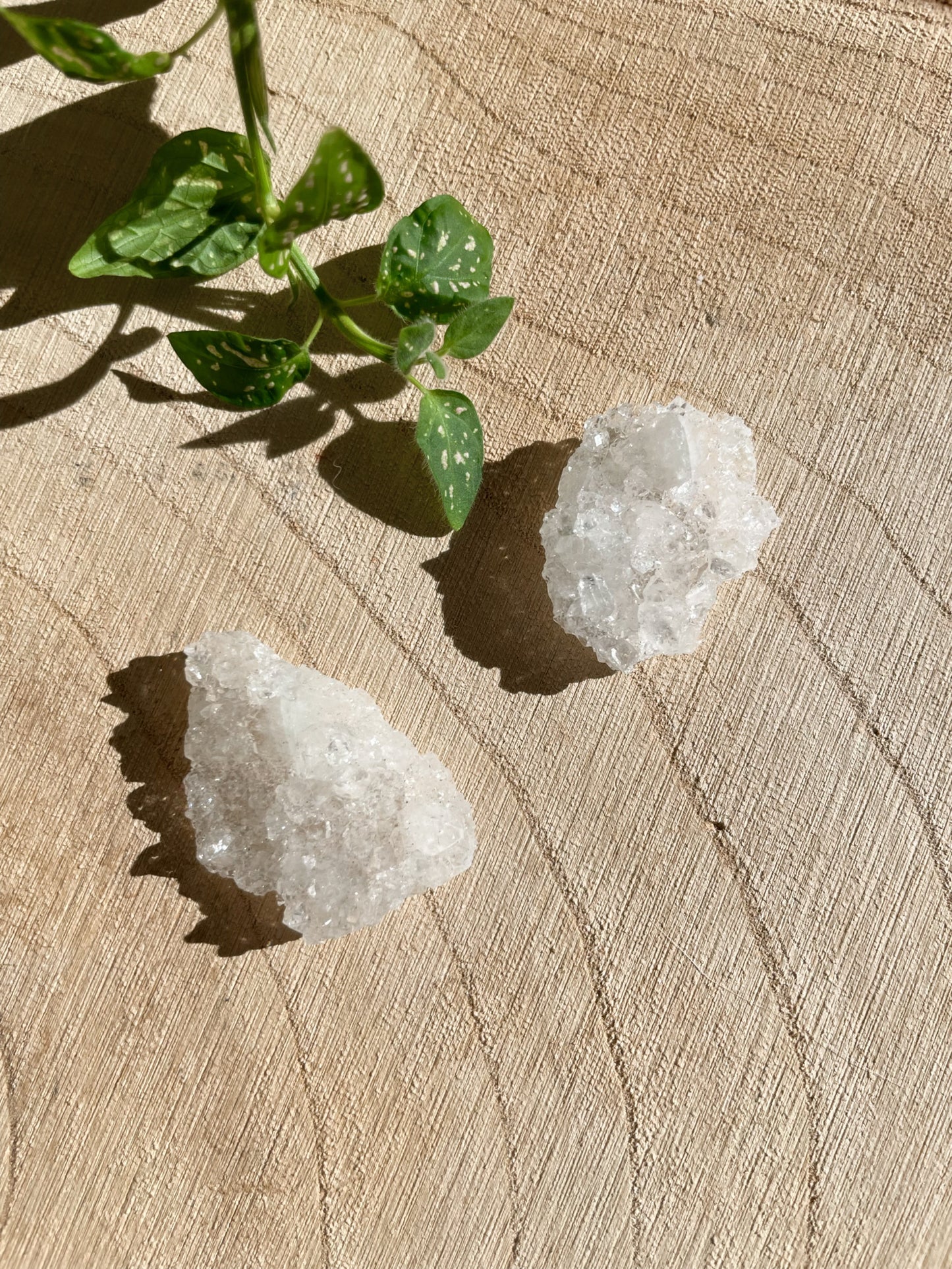 Apophyllit aus Indien - verschiedene Größen