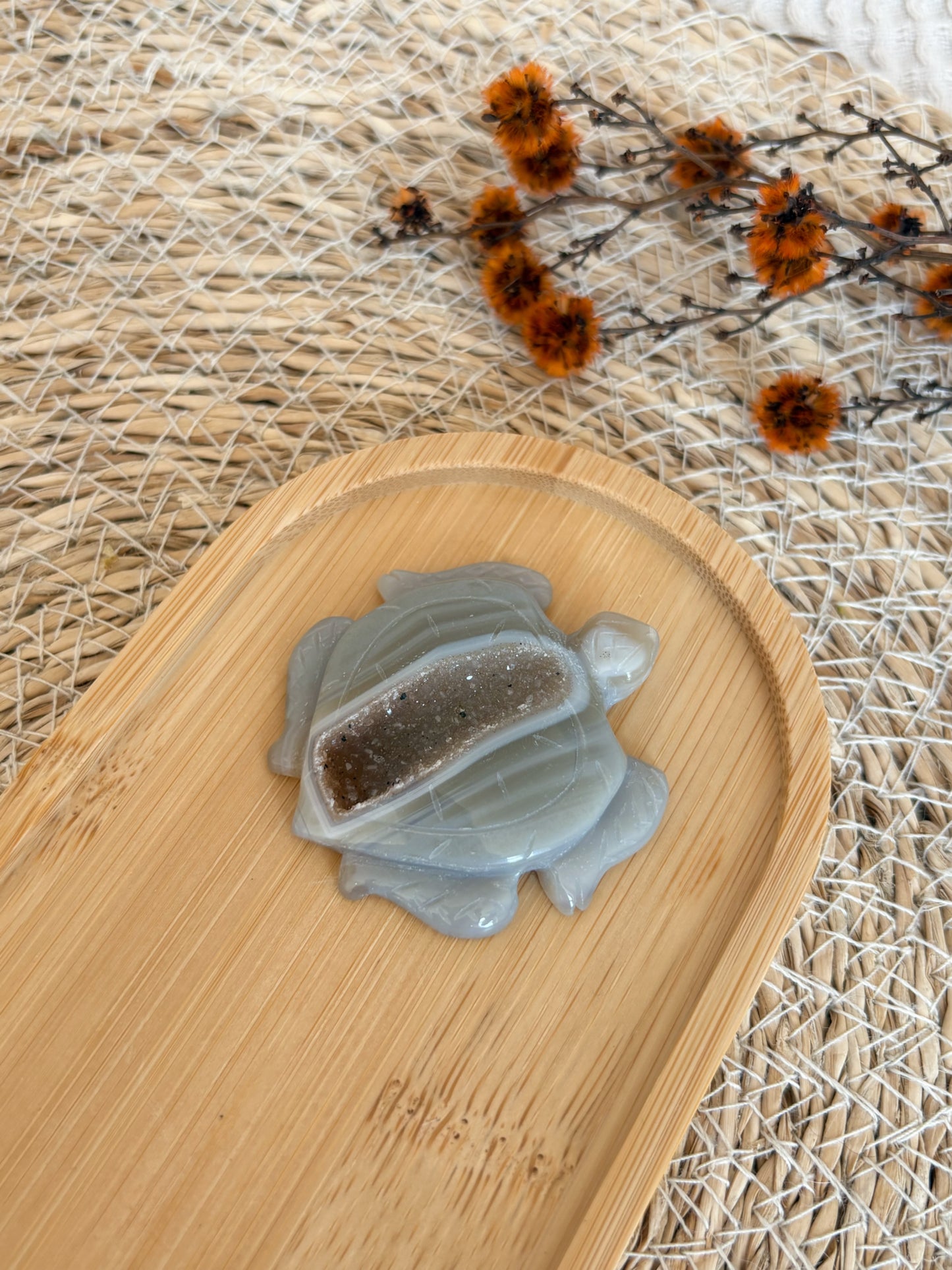 Druzy Achat Schildkröte, Nr. 2