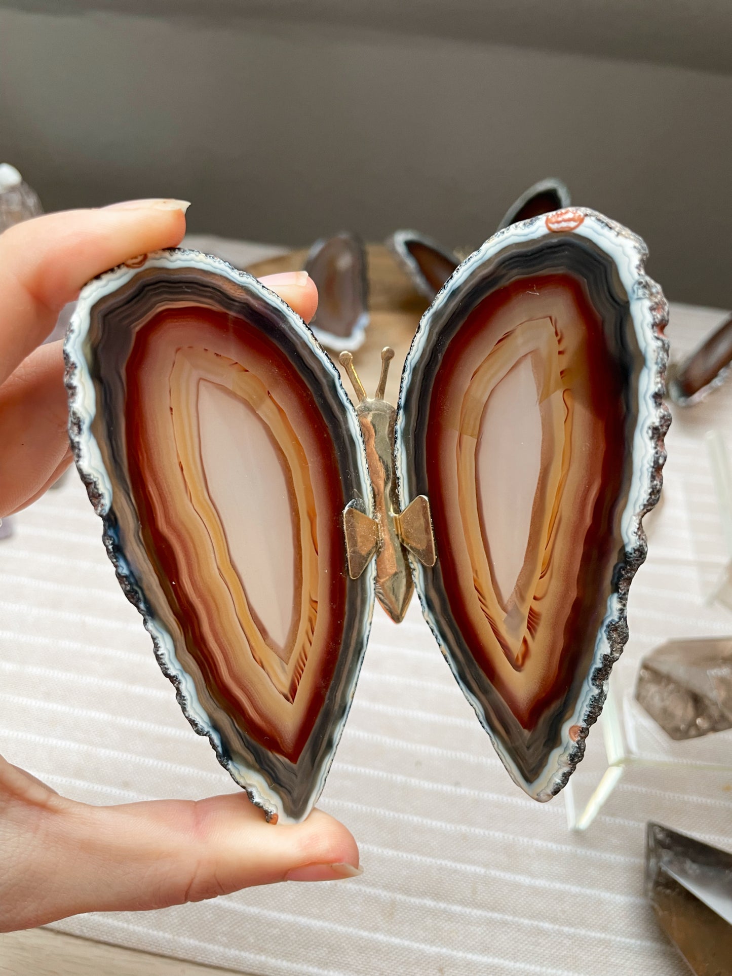 Achat Schmetterling Nr. 2