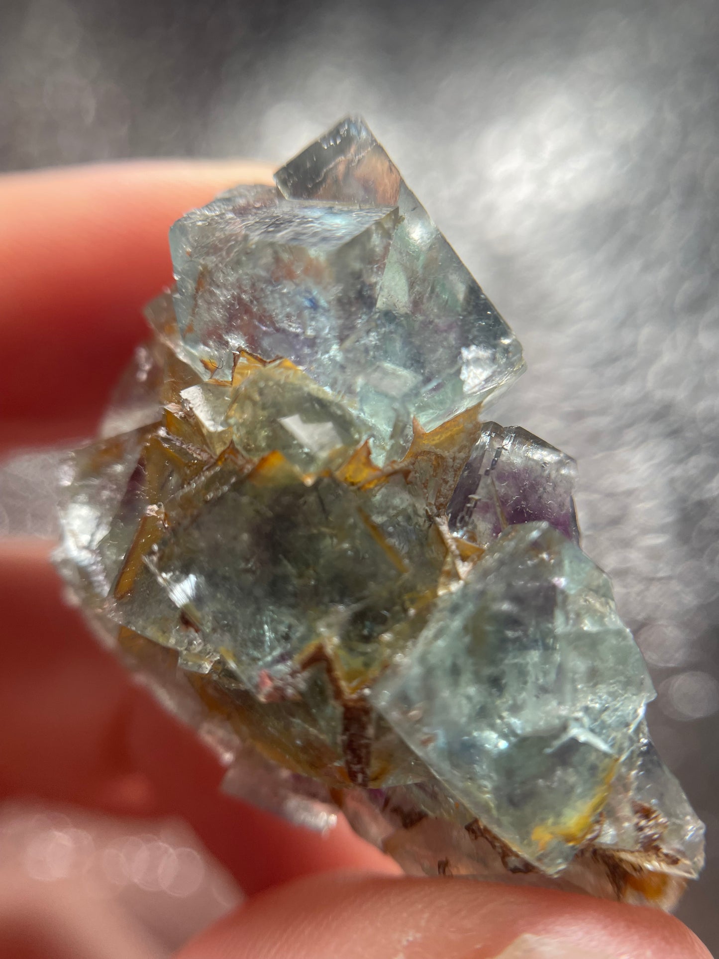 Okorusu Fluorit Cluster Nr. 1