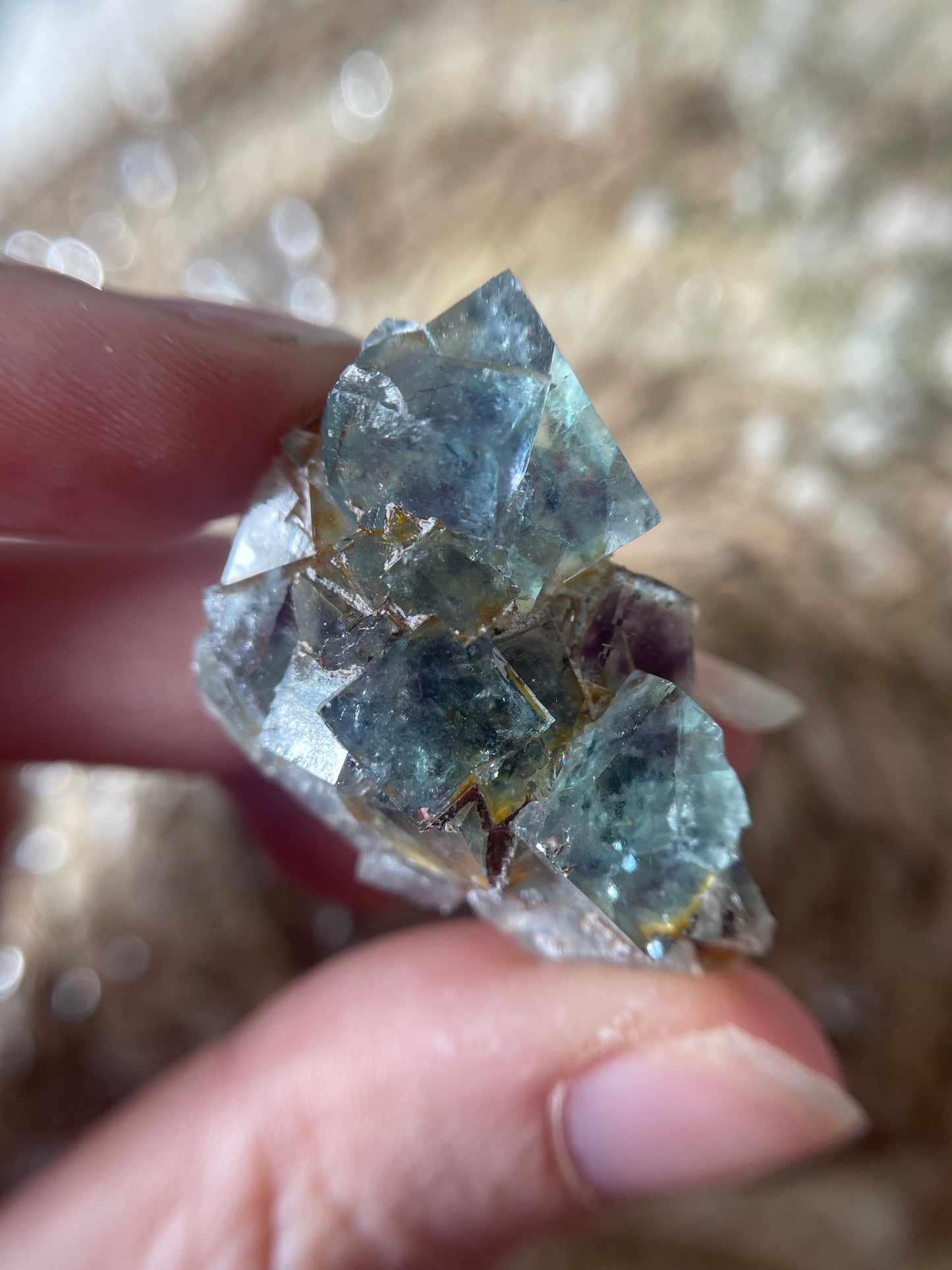 Okorusu Fluorit Cluster Nr. 1