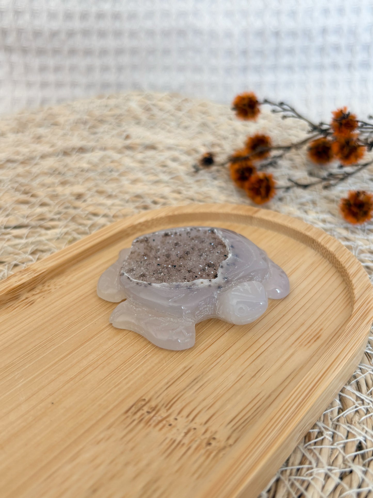 Druzy Achat Schildkröte mit Dendriten, Nr. 1