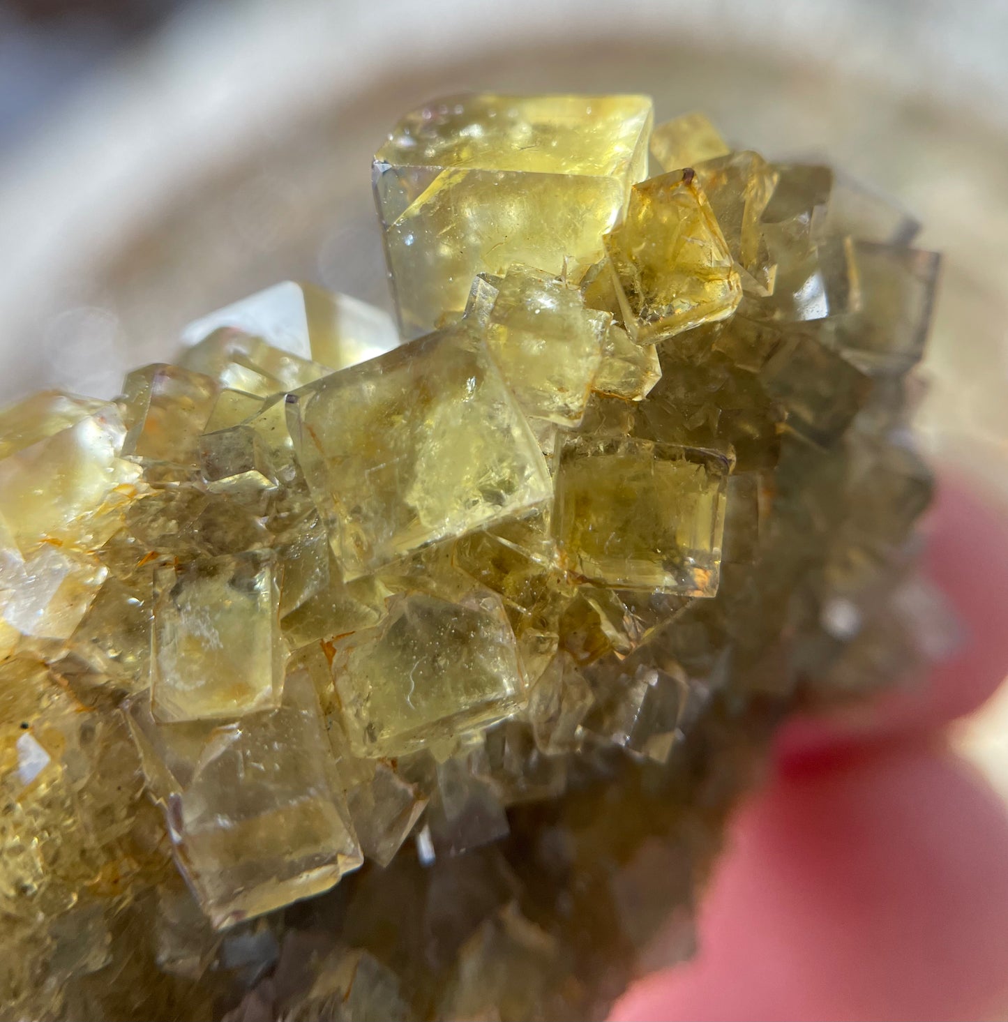 Okorusu Fluorit Cluster Nr. 2