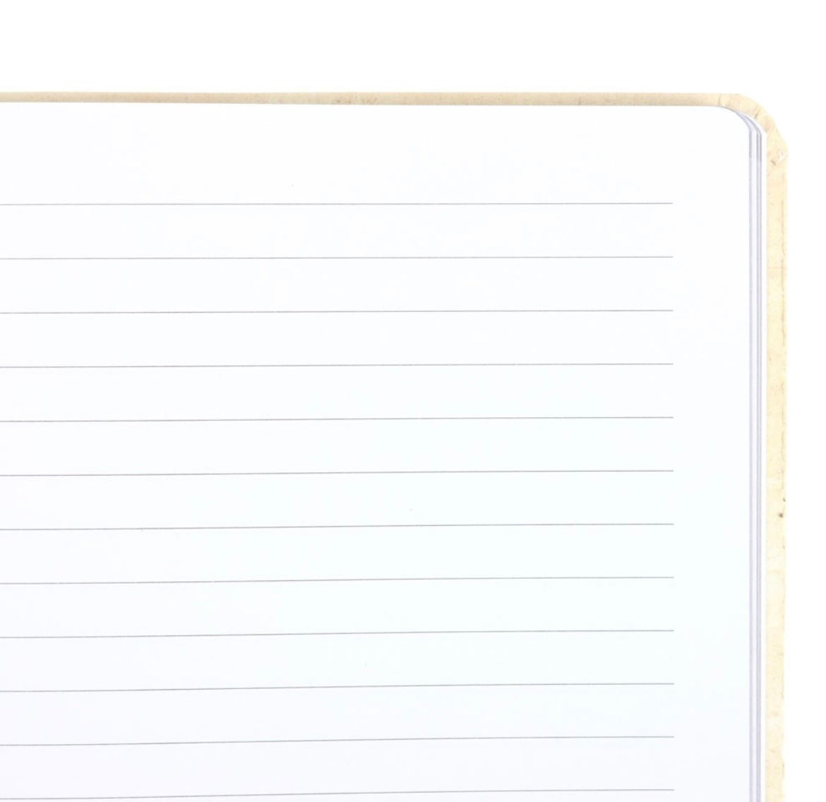 Notizbuch „Enchanted Forest“, liniert 🍄