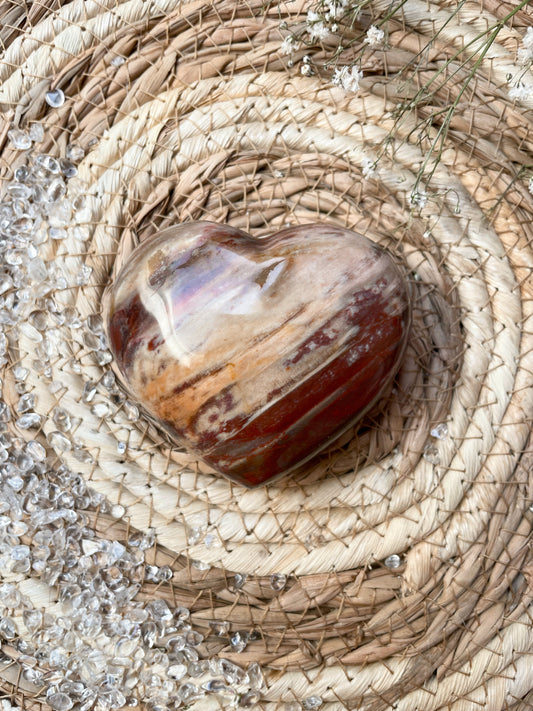 Versteinertes Holz Herz