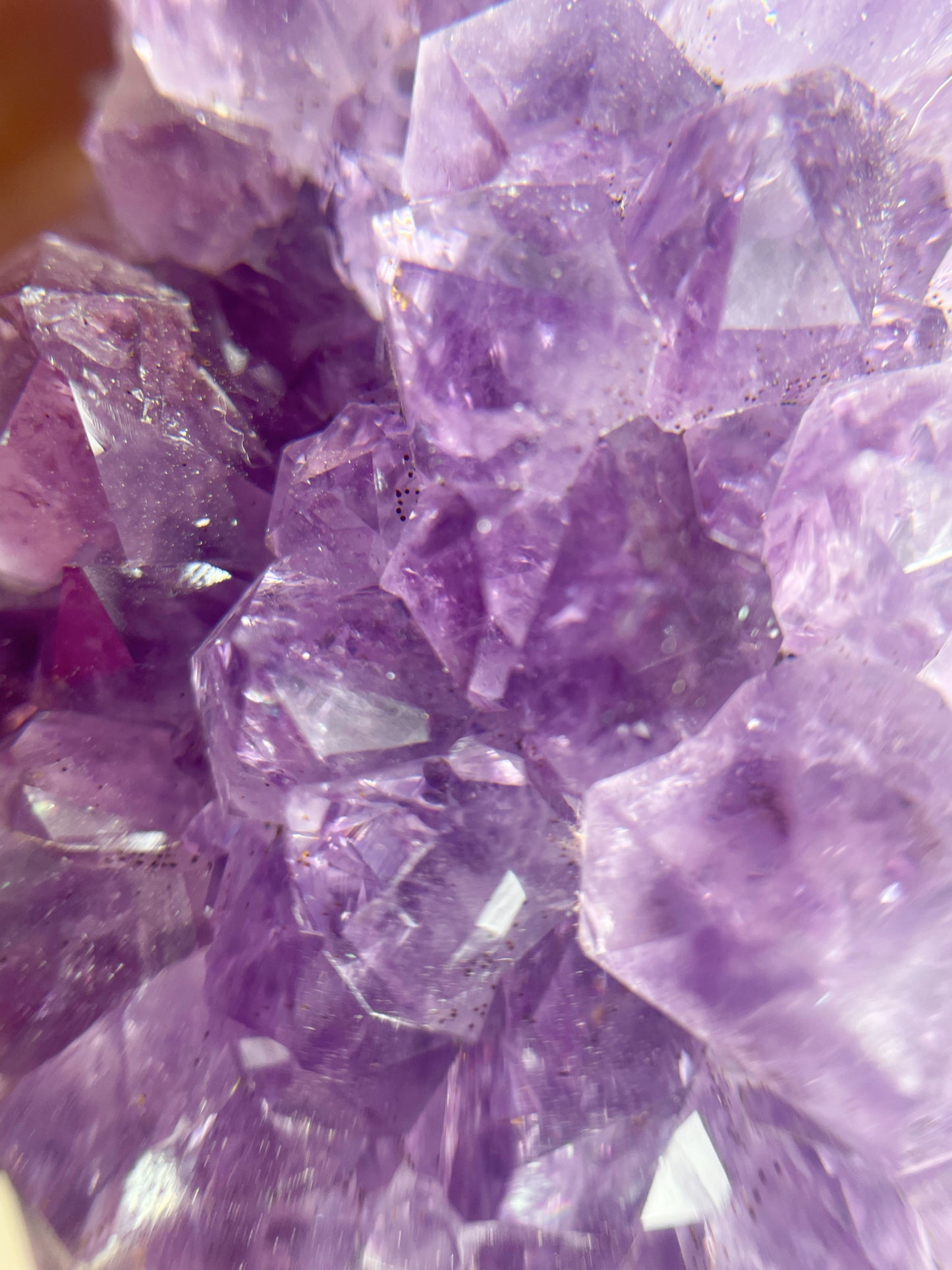 Amethyst Cluster AC21